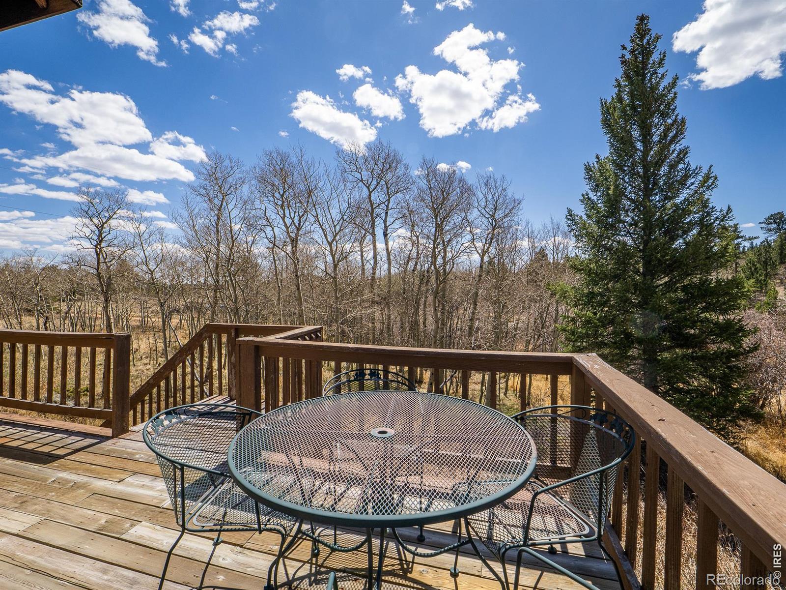 MLS Image #4 for 621  tesuque trail,red feather lakes, Colorado