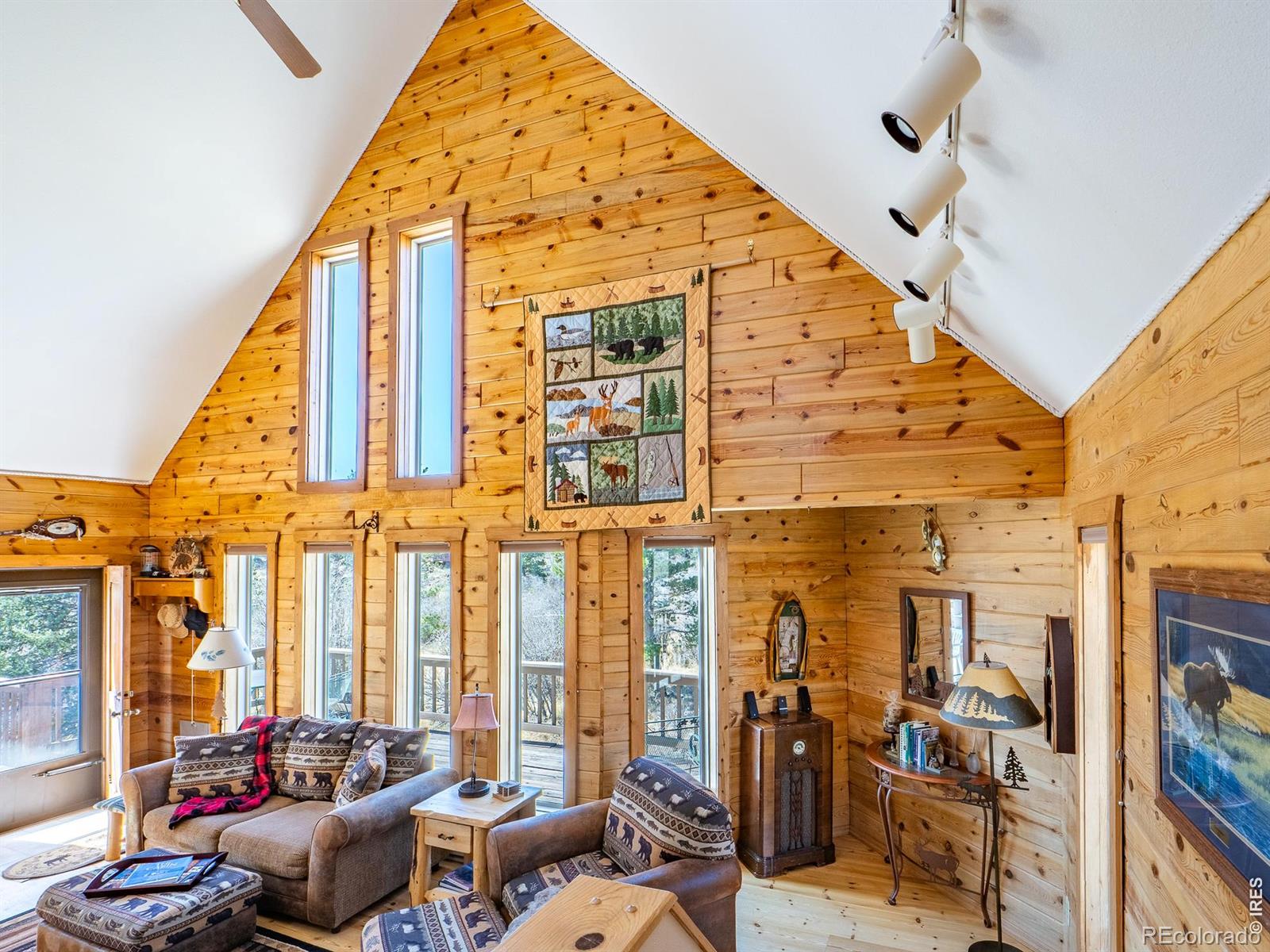 MLS Image #6 for 621  tesuque trail,red feather lakes, Colorado