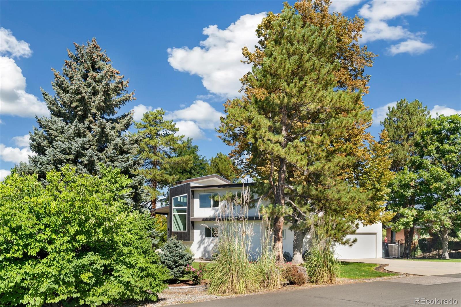 MLS Image #9 for 3818  everett street,wheat ridge, Colorado