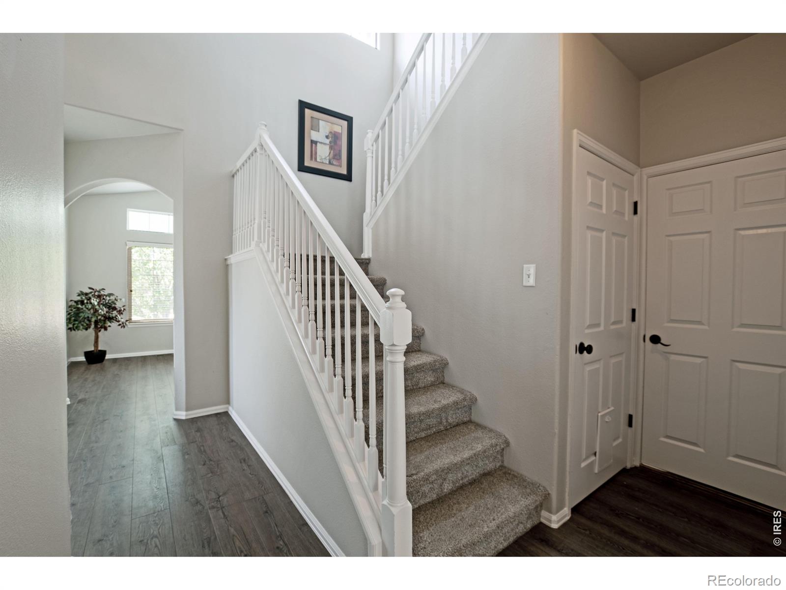 MLS Image #23 for 2462  bar harbor drive,fort collins, Colorado