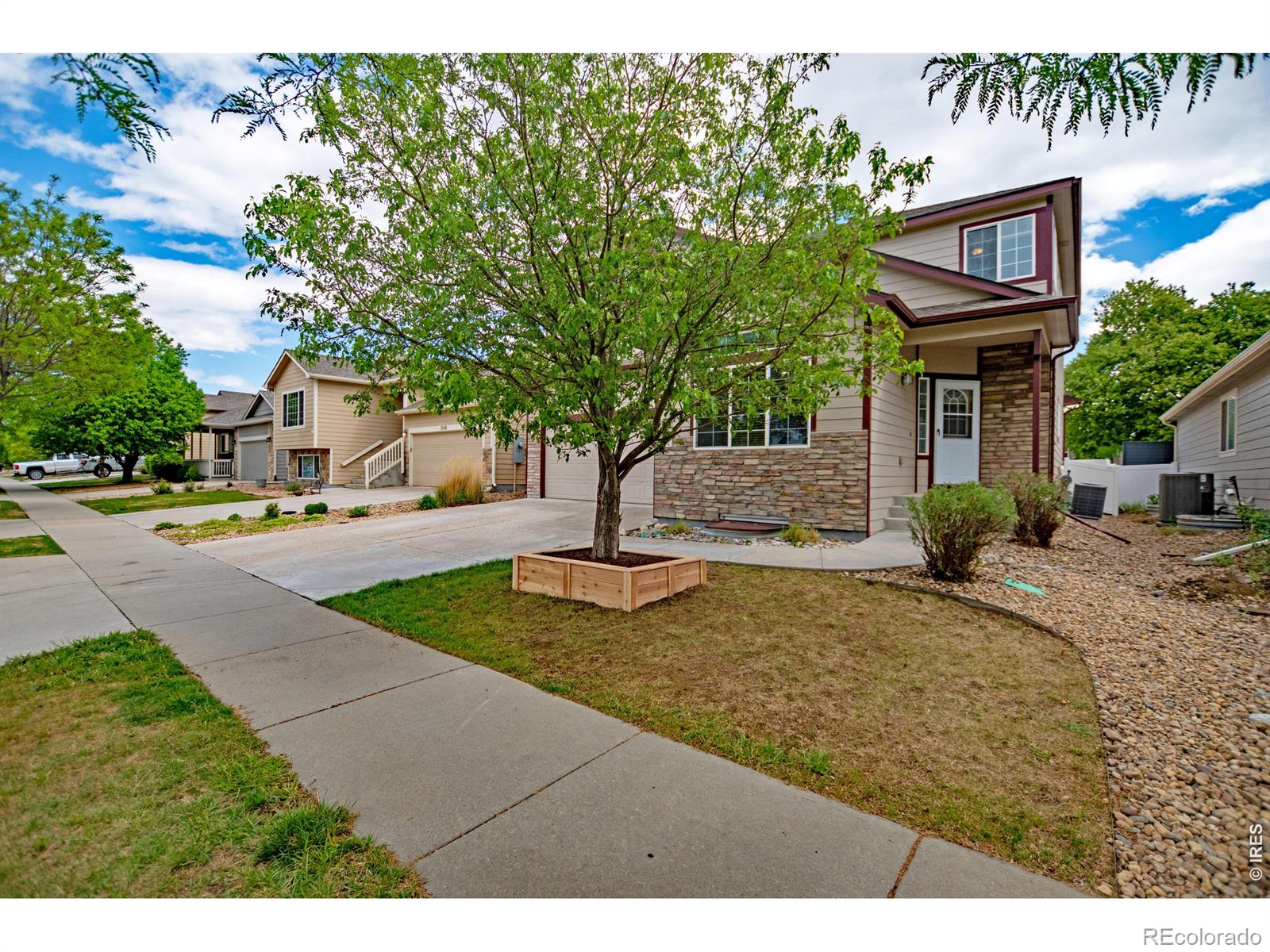 MLS Image #3 for 2462  bar harbor drive,fort collins, Colorado