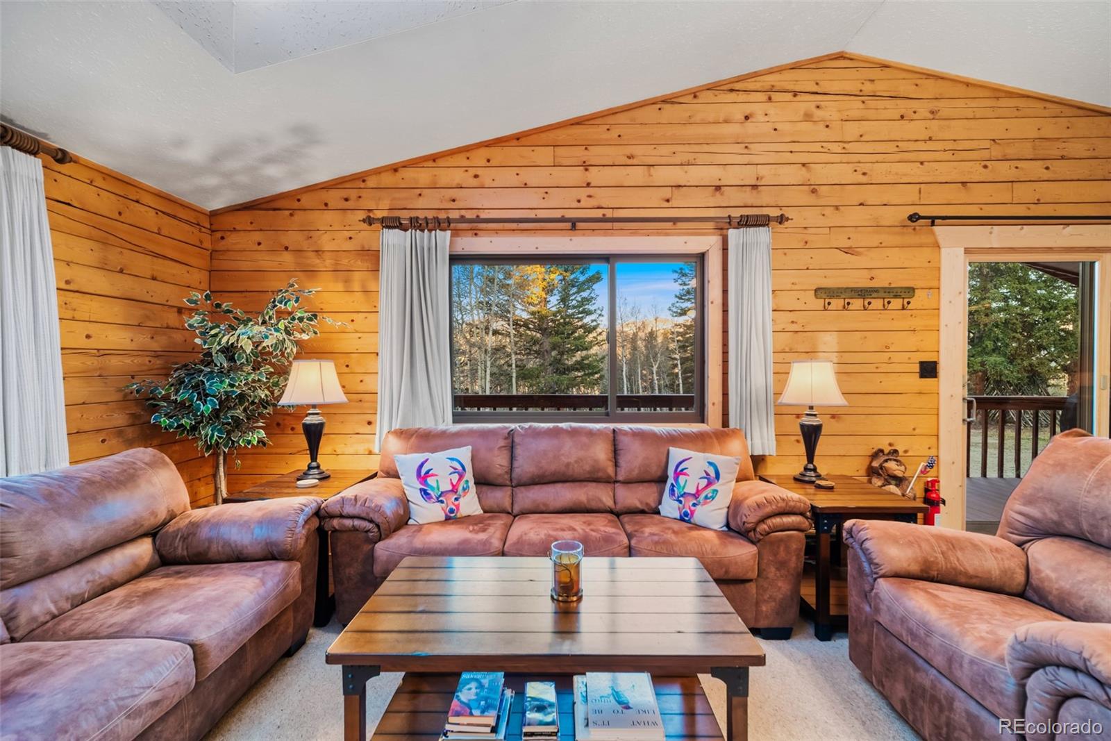 MLS Image #12 for 248  french pass circle,jefferson, Colorado