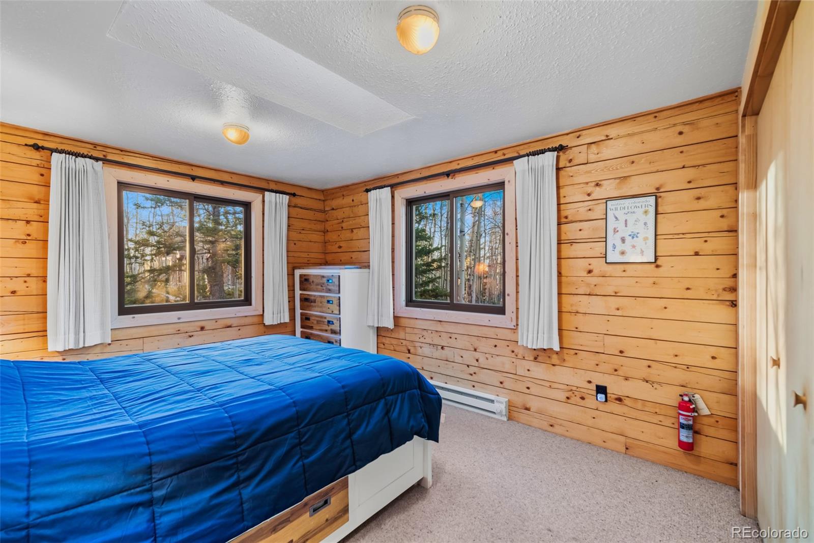 MLS Image #17 for 248  french pass circle,jefferson, Colorado