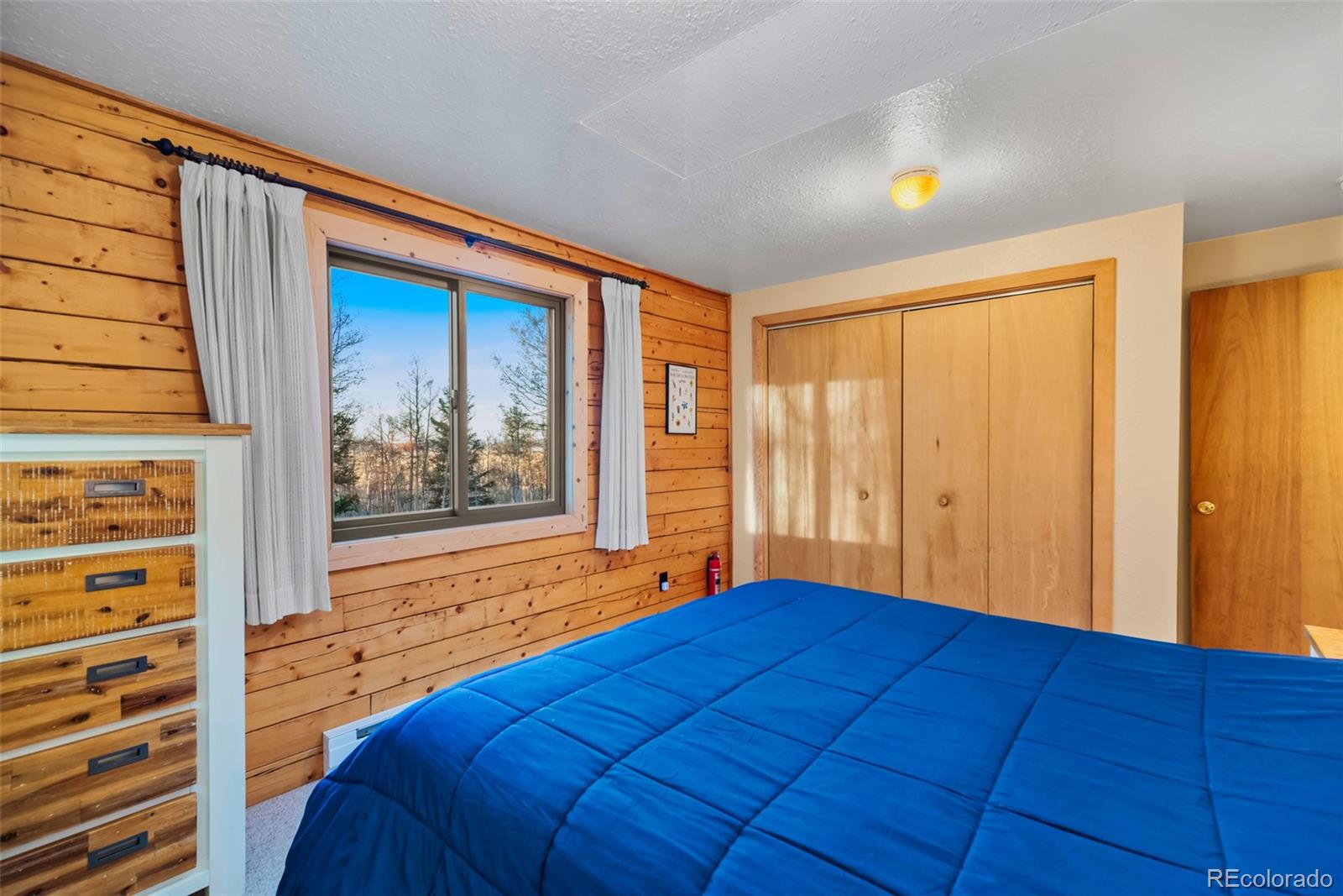MLS Image #18 for 248  french pass circle,jefferson, Colorado
