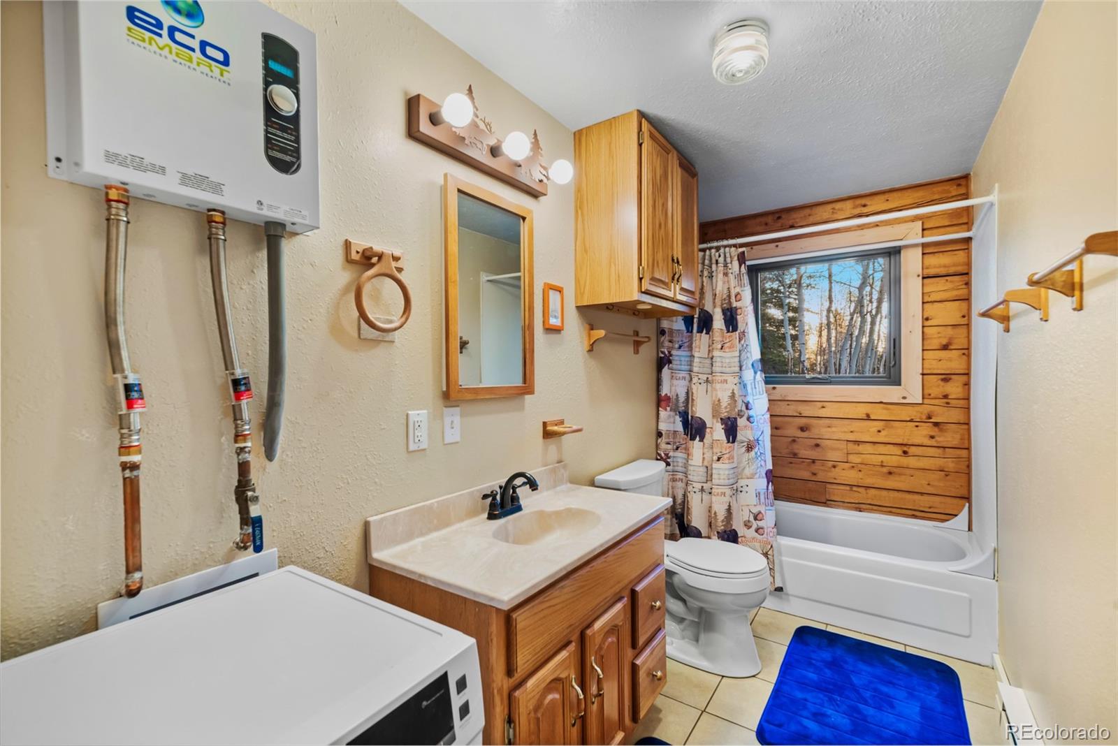 MLS Image #19 for 248  french pass circle,jefferson, Colorado