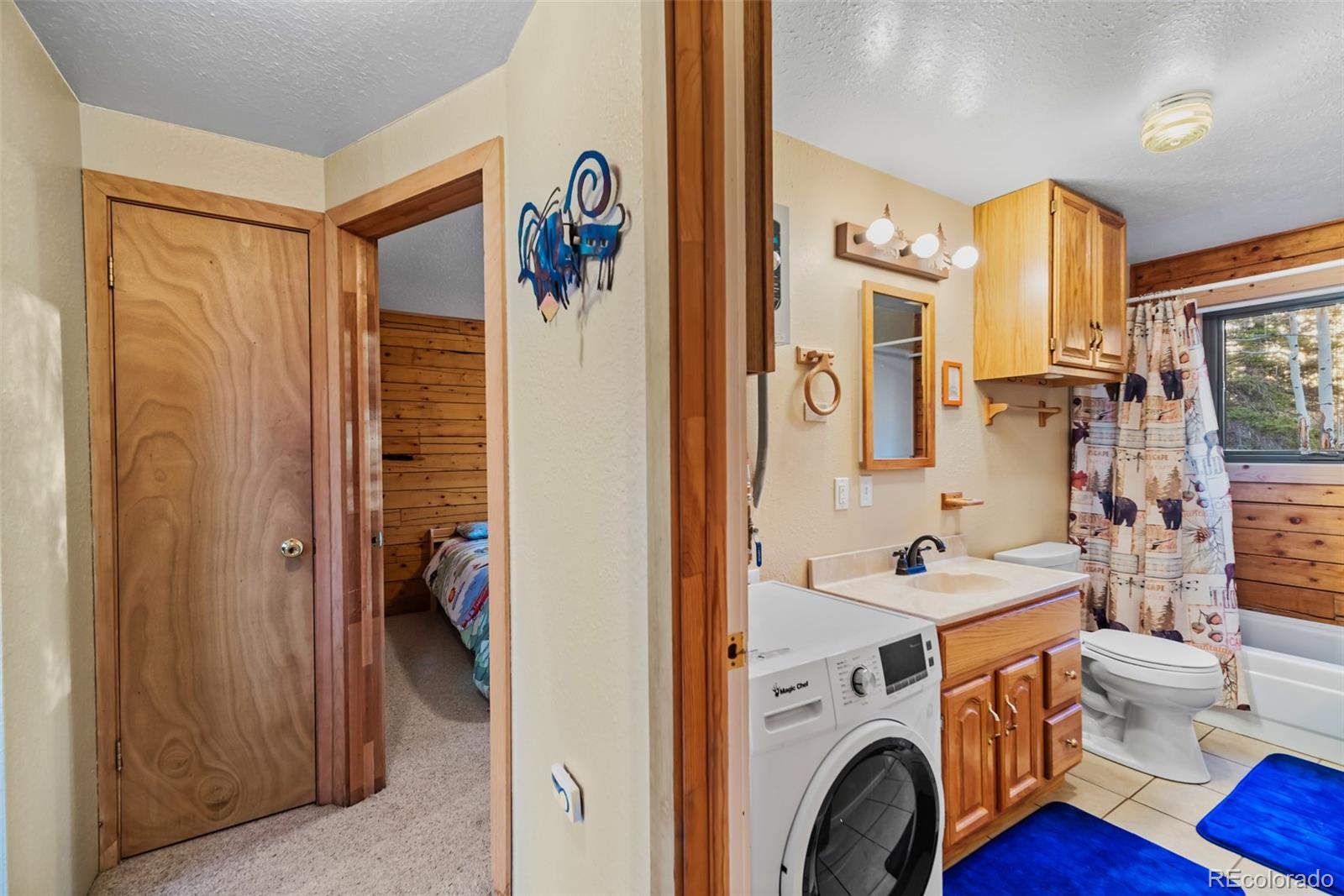 MLS Image #20 for 248  french pass circle,jefferson, Colorado