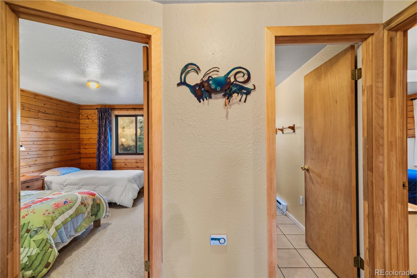 MLS Image #21 for 248  french pass circle,jefferson, Colorado