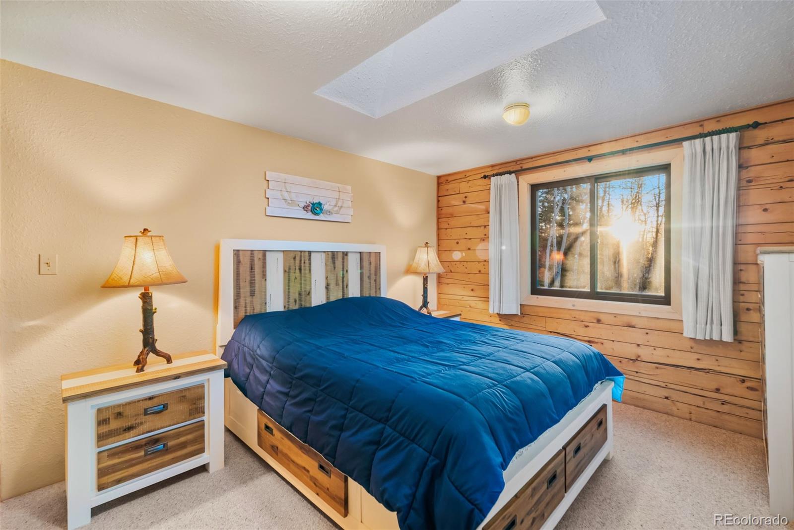 MLS Image #3 for 248  french pass circle,jefferson, Colorado