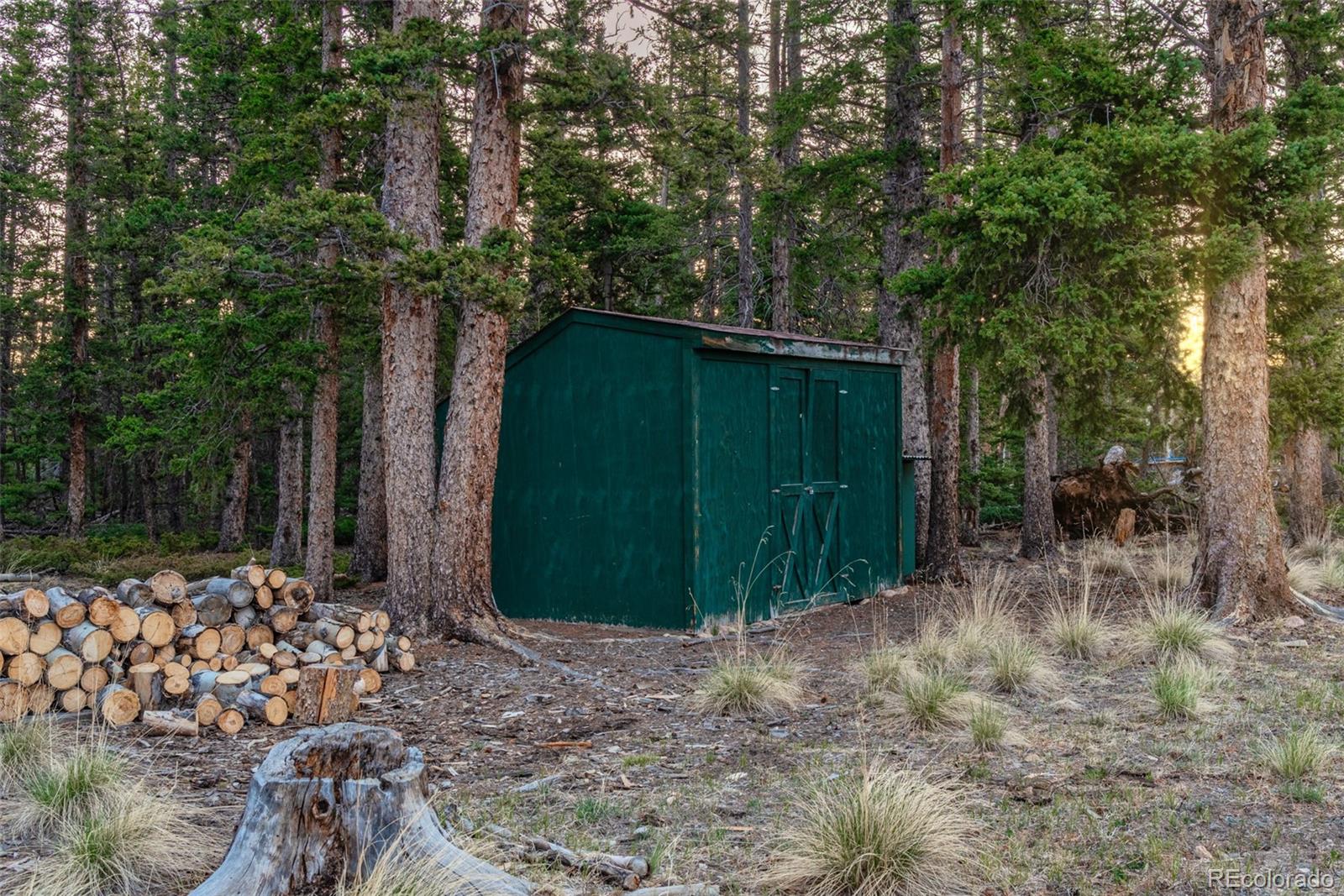 MLS Image #31 for 248  french pass circle,jefferson, Colorado