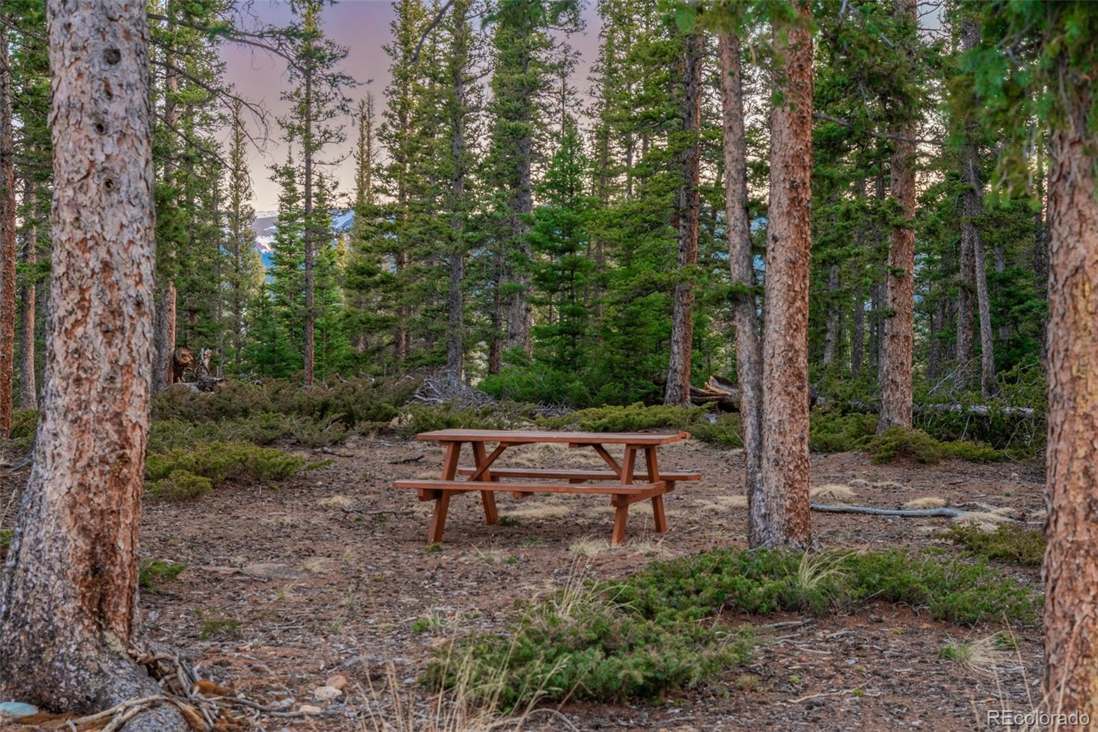 MLS Image #33 for 248  french pass circle,jefferson, Colorado