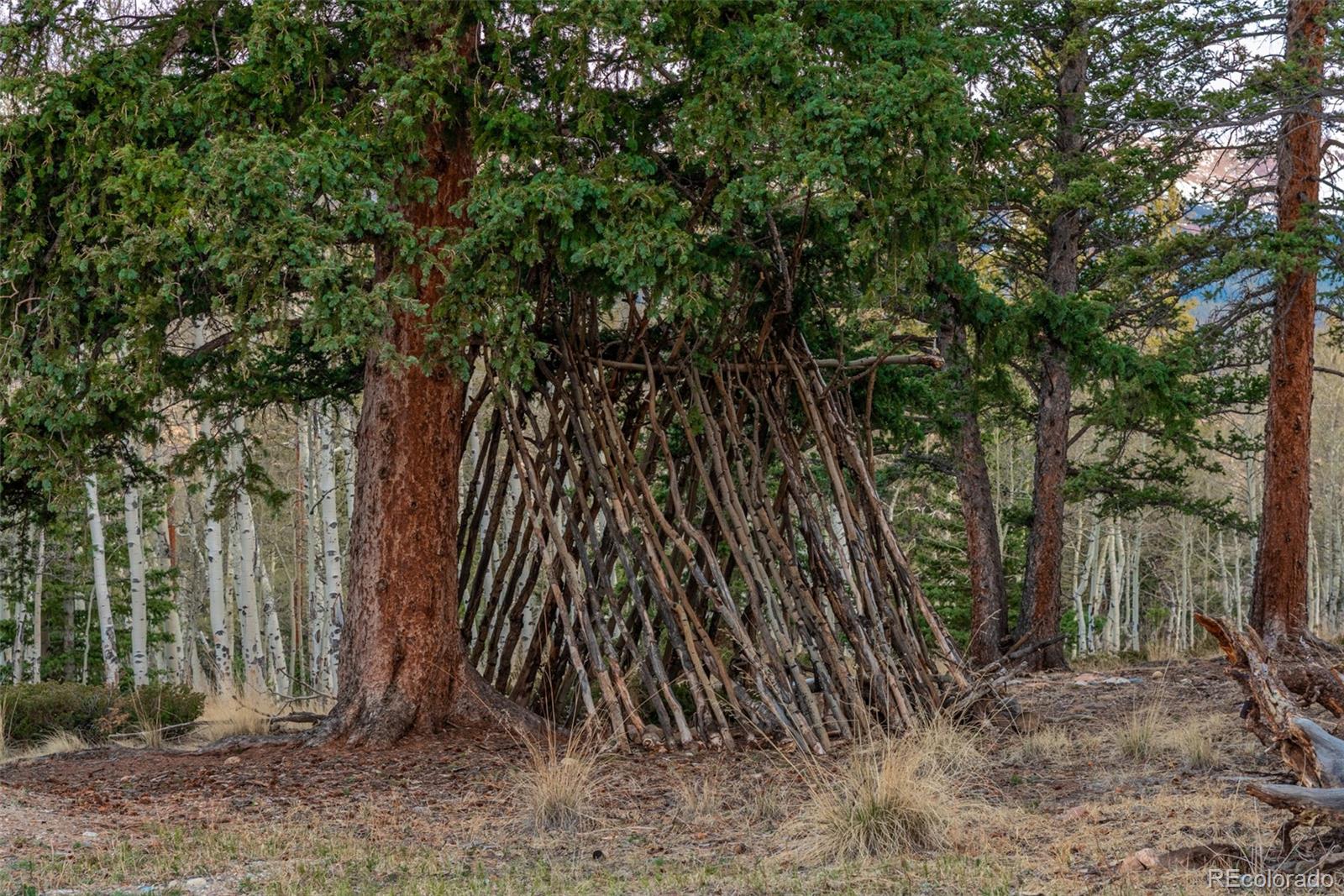 MLS Image #34 for 248  french pass circle,jefferson, Colorado