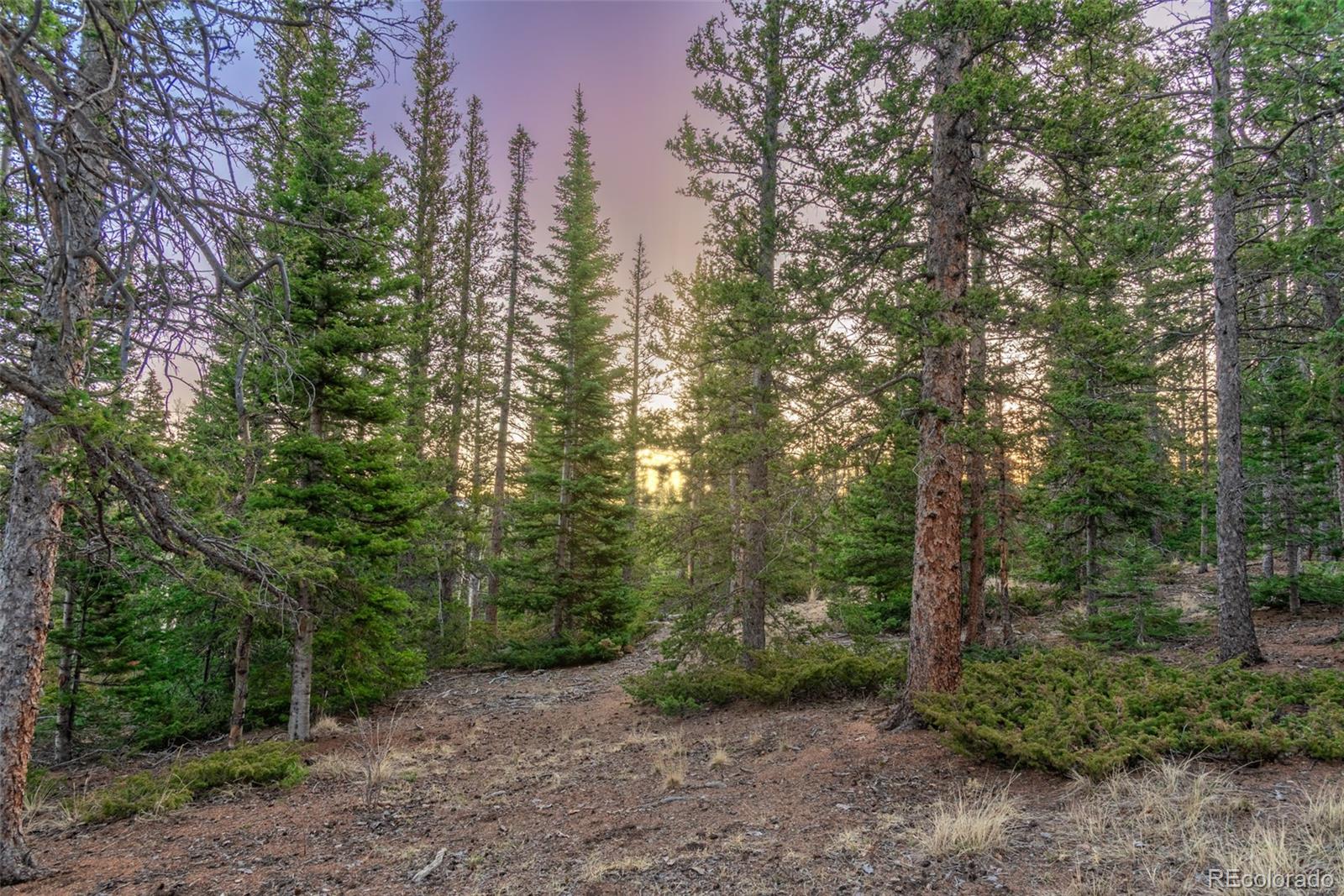 MLS Image #36 for 248  french pass circle,jefferson, Colorado