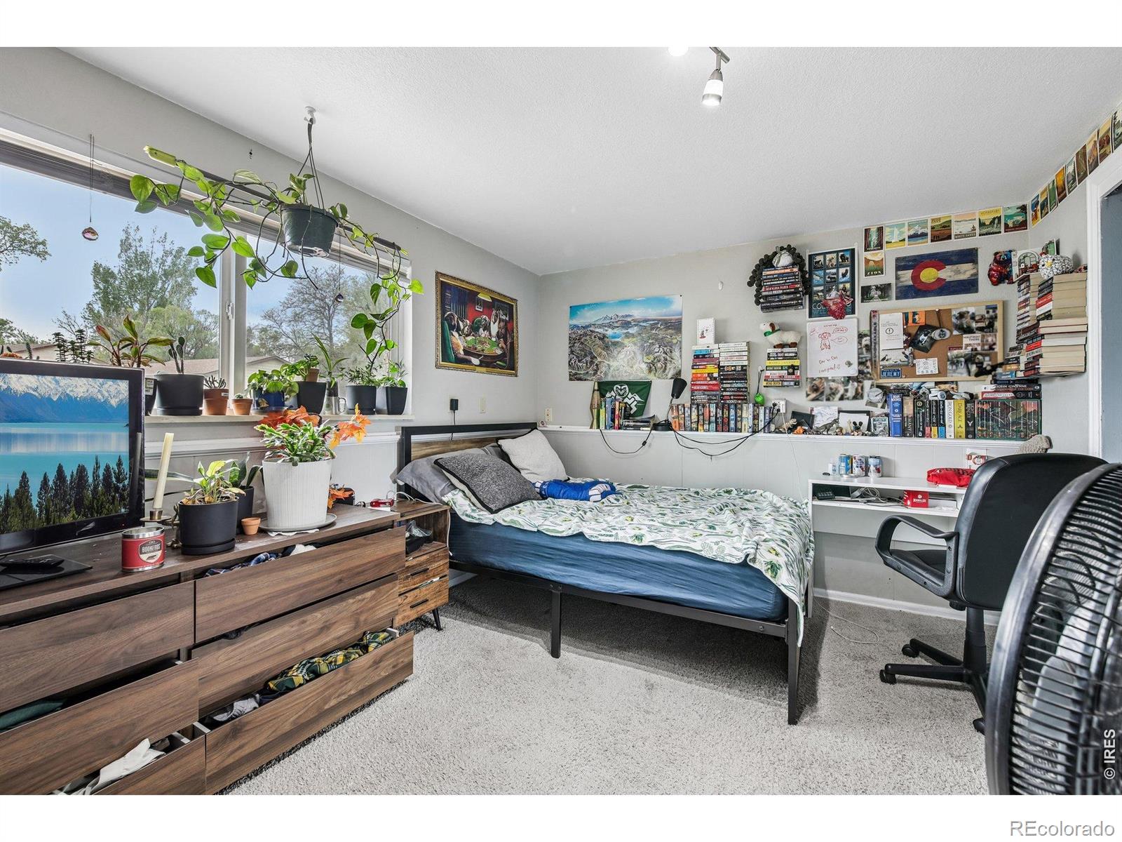 MLS Image #16 for 1720  springfield drive,fort collins, Colorado