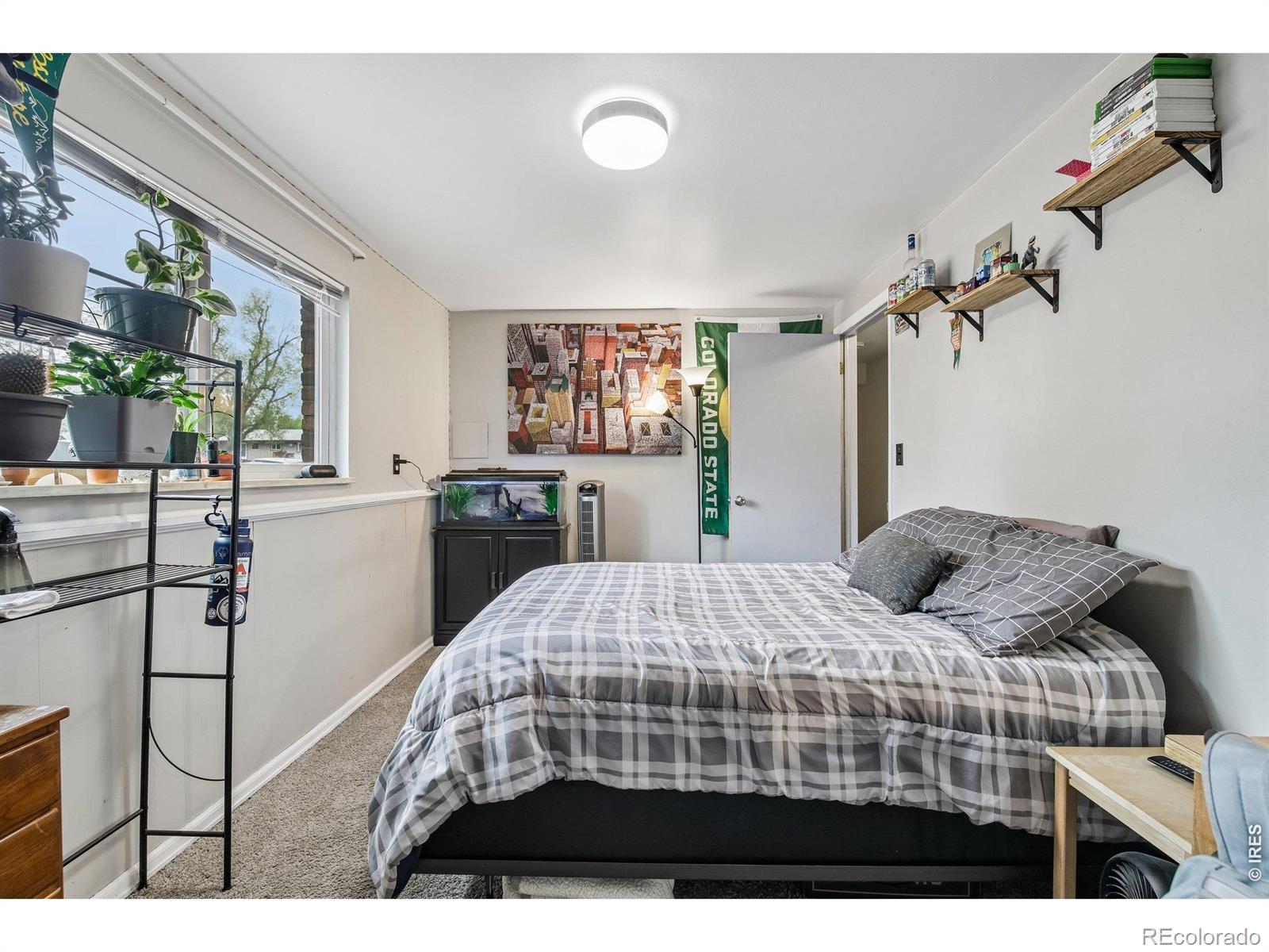MLS Image #18 for 1720  springfield drive,fort collins, Colorado