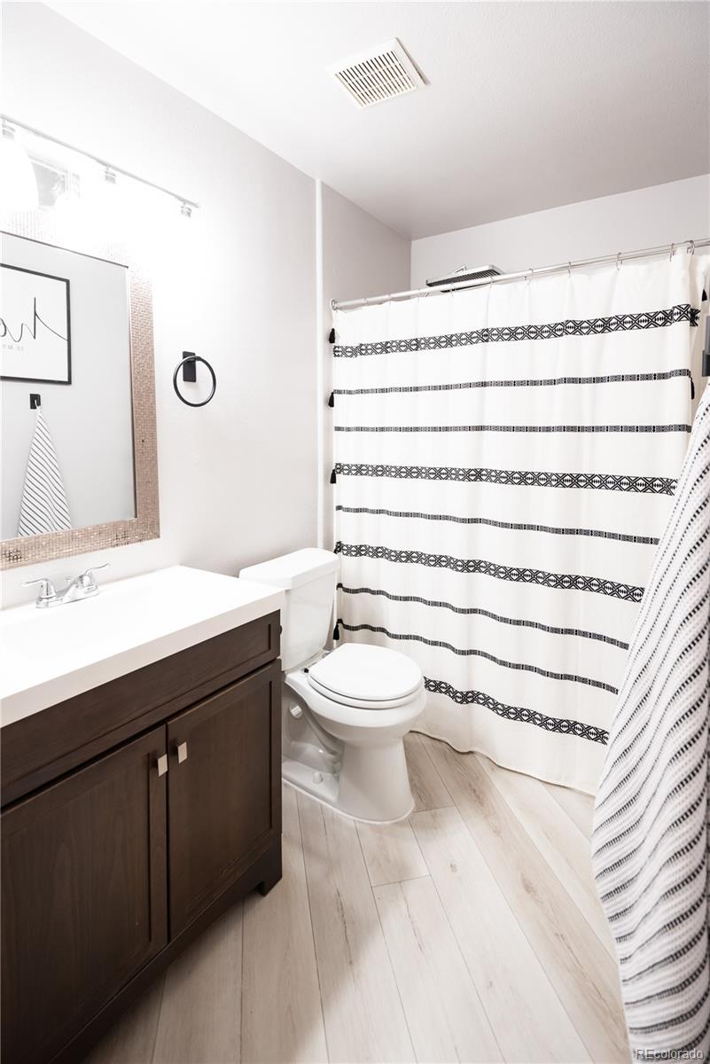 MLS Image #10 for 3727  cactus creek court,highlands ranch, Colorado