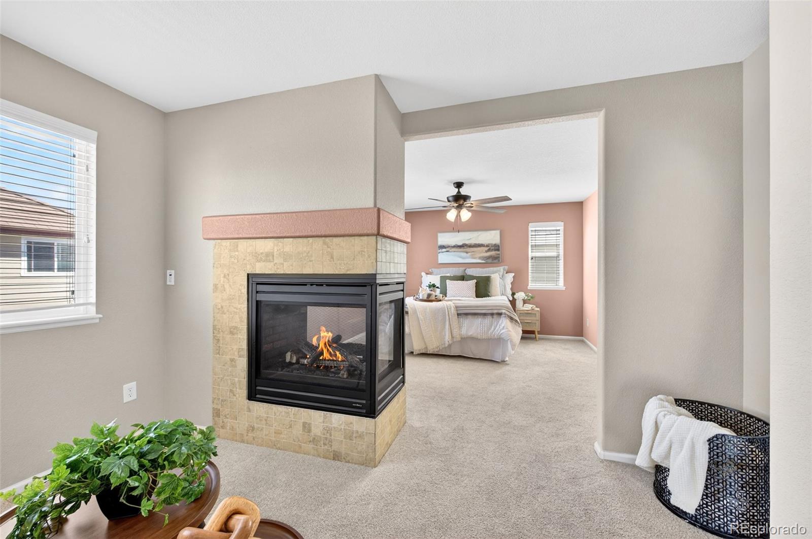 MLS Image #20 for 785  diamond rim drive,colorado springs, Colorado