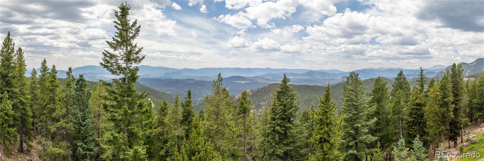 MLS Image #46 for 31320  timothys trail,conifer, Colorado