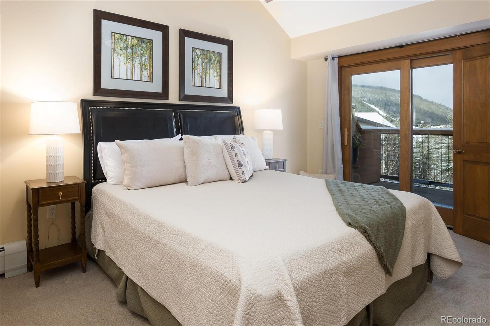 MLS Image #9 for 53  hunki dori court,dillon, Colorado