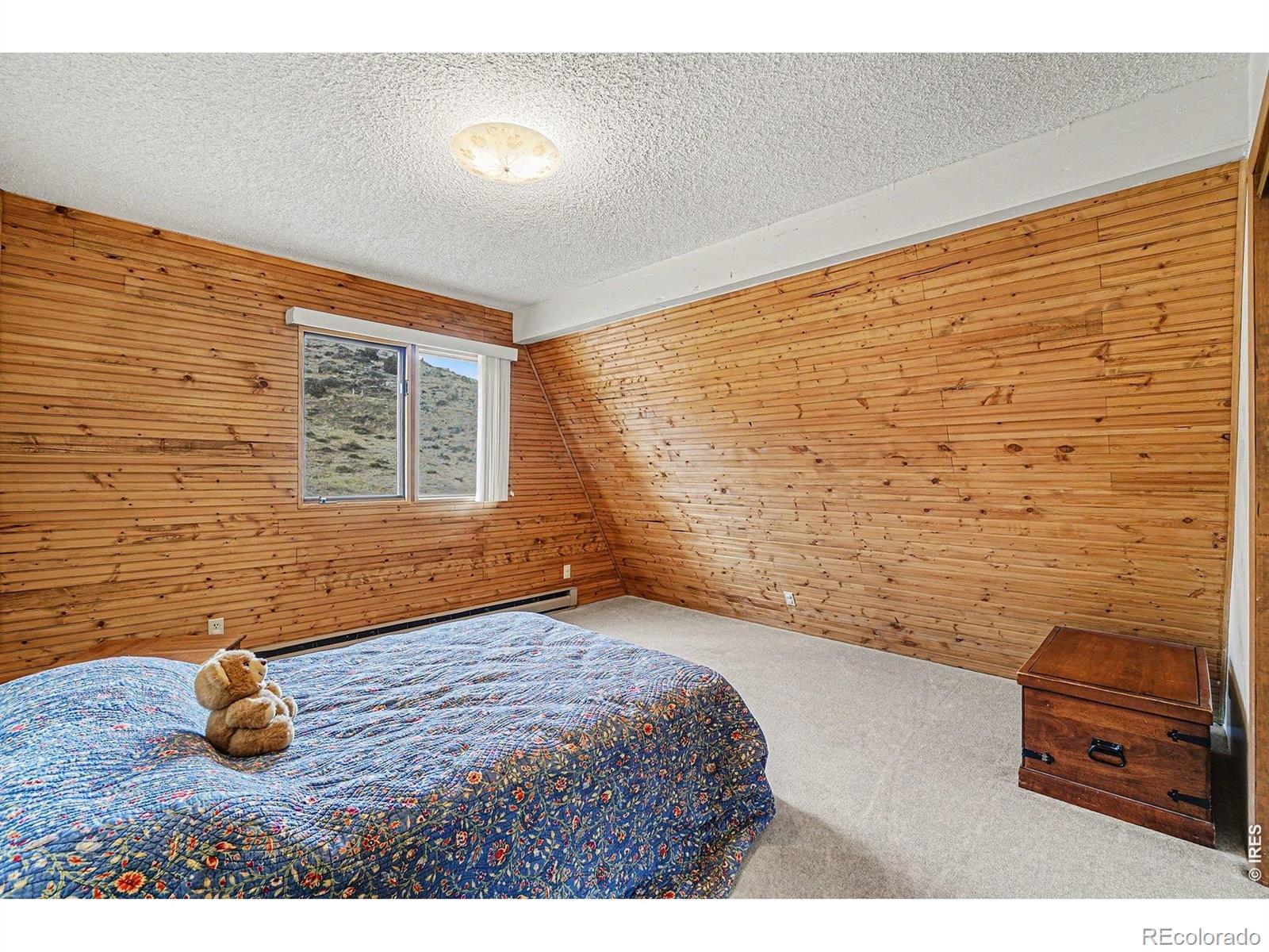 MLS Image #18 for 192  culebra drive,livermore, Colorado