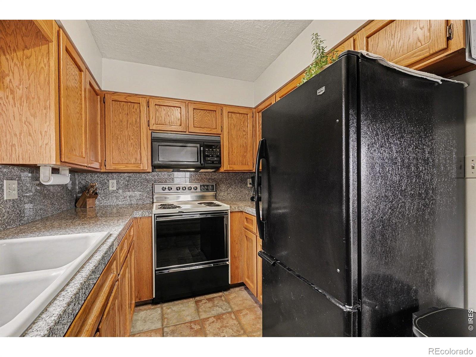 MLS Image #4 for 192  culebra drive,livermore, Colorado