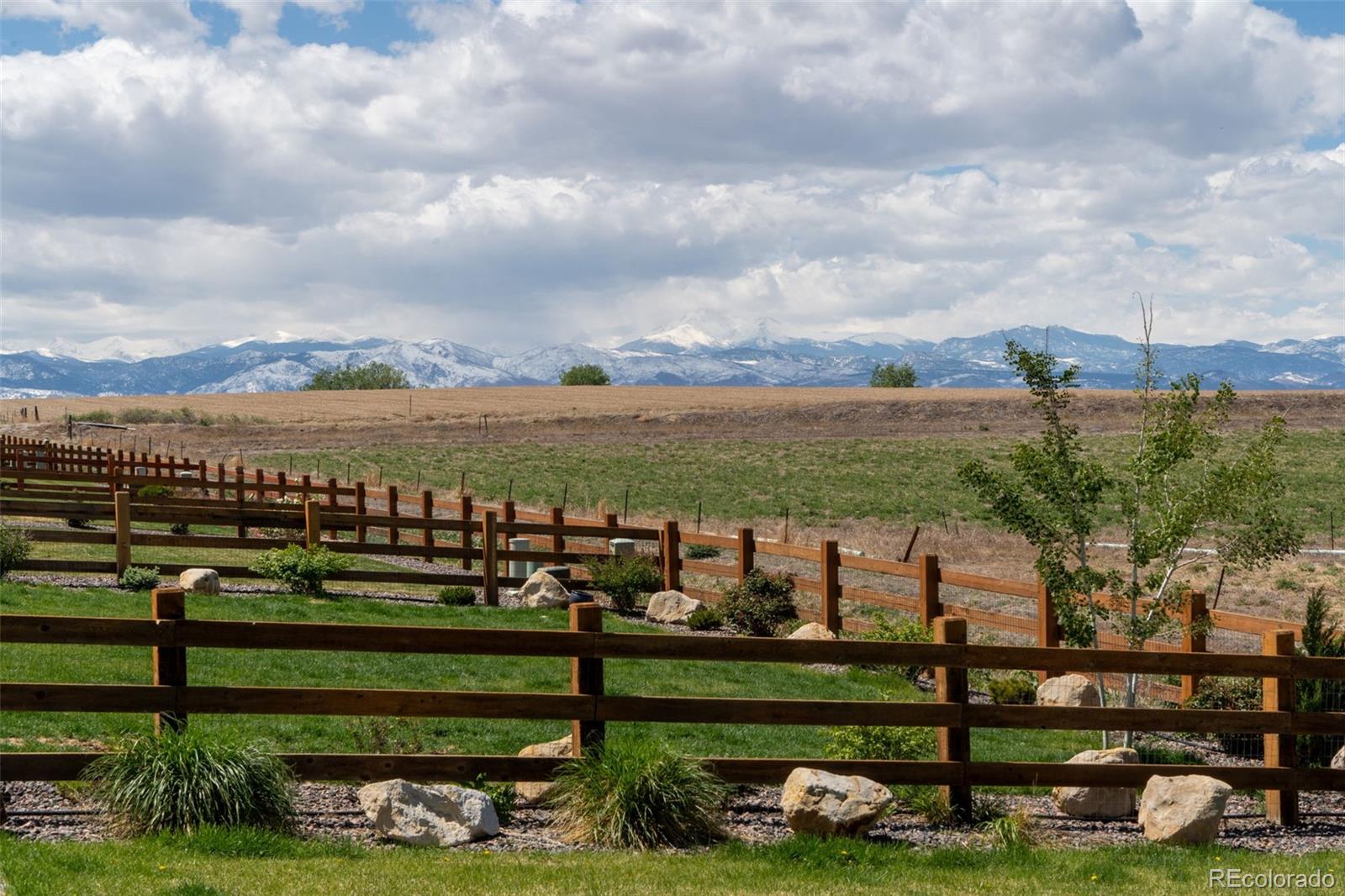 MLS Image #3 for 291  maddox lane,erie, Colorado