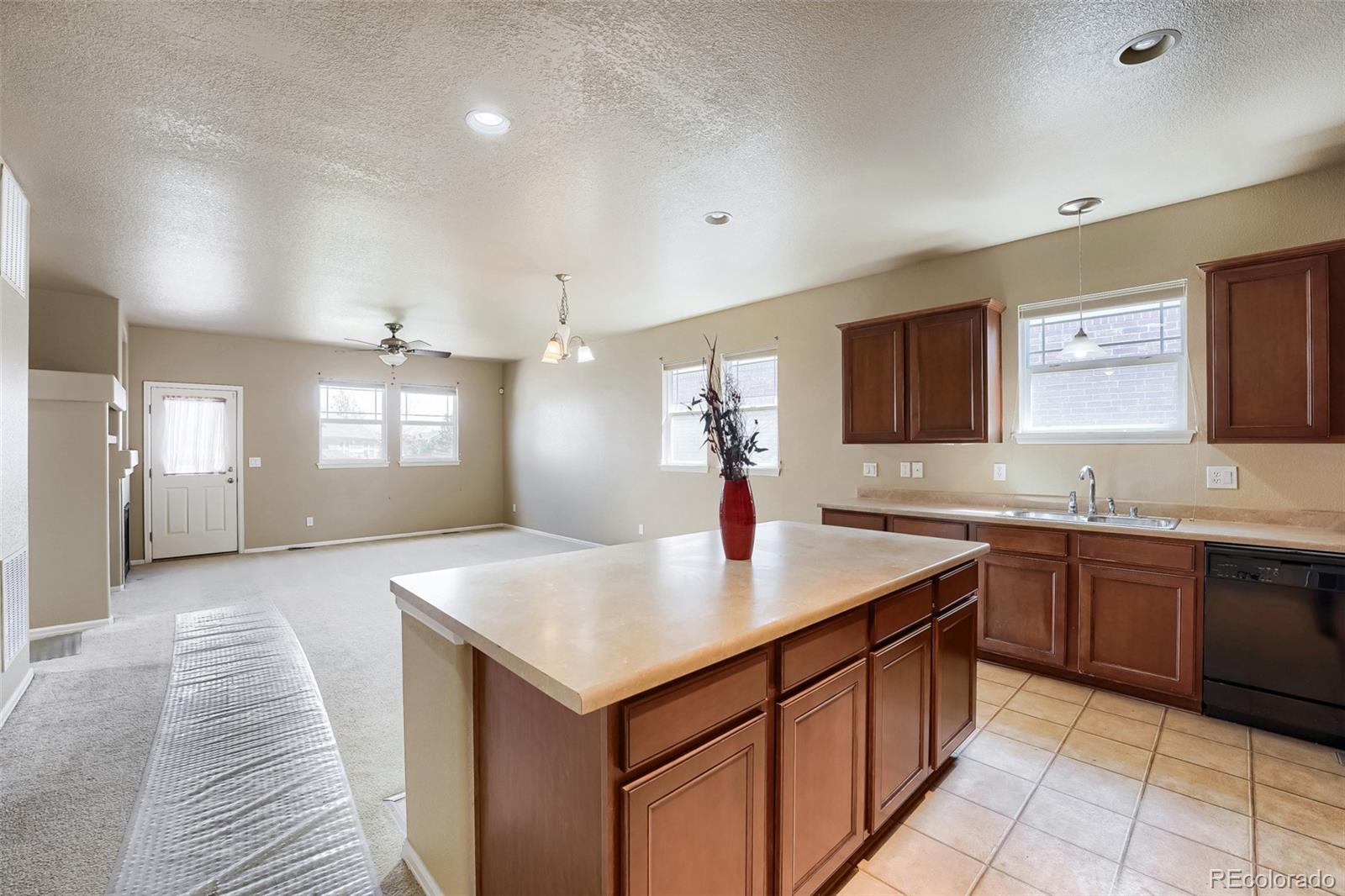 MLS Image #4 for 25107 e canal place,aurora, Colorado