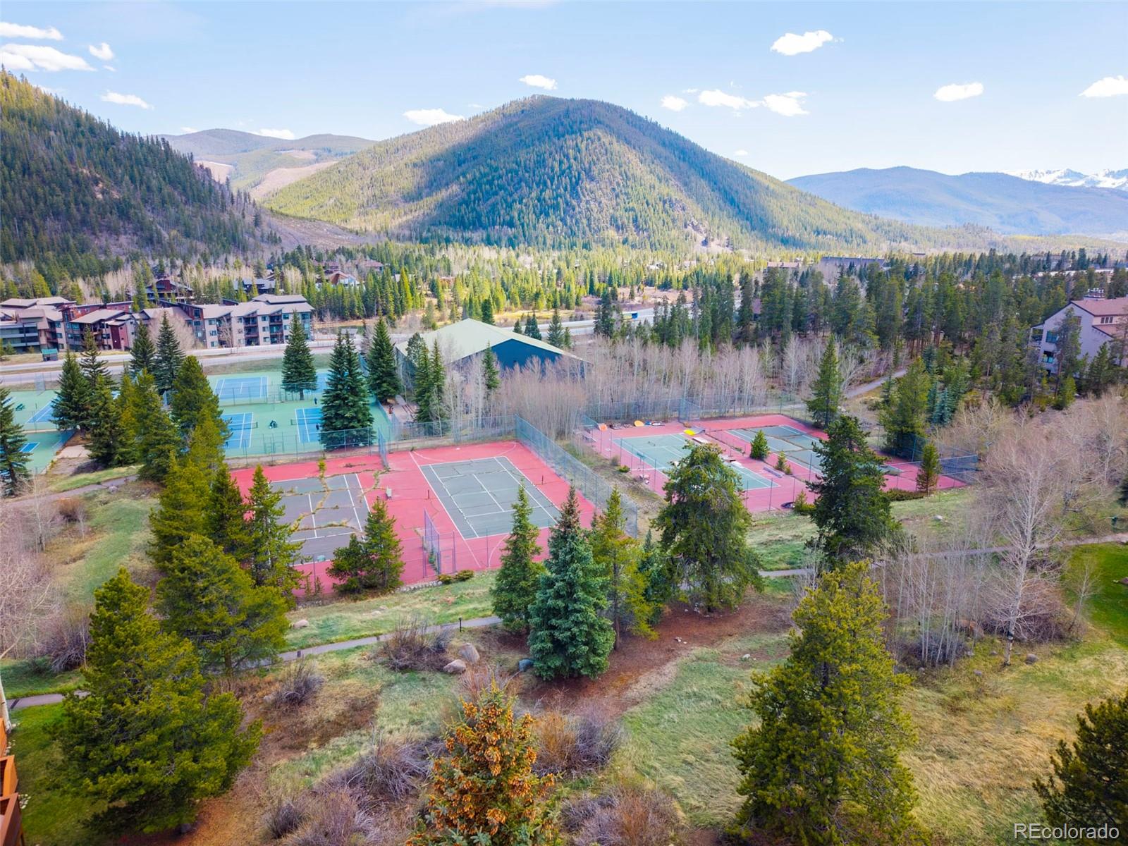 MLS Image #1 for 350  tennis club road,dillon, Colorado