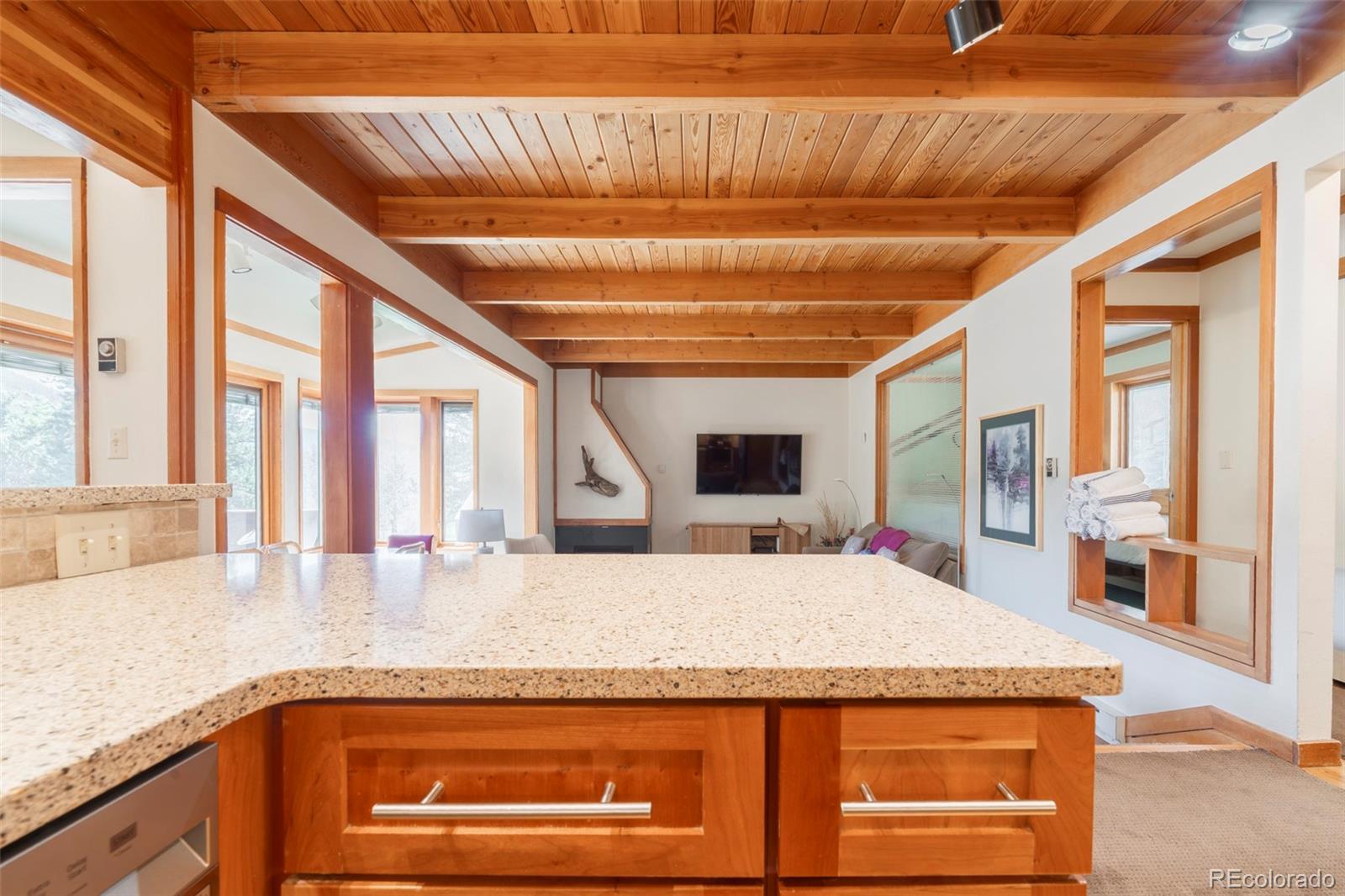 MLS Image #10 for 350  tennis club road,dillon, Colorado