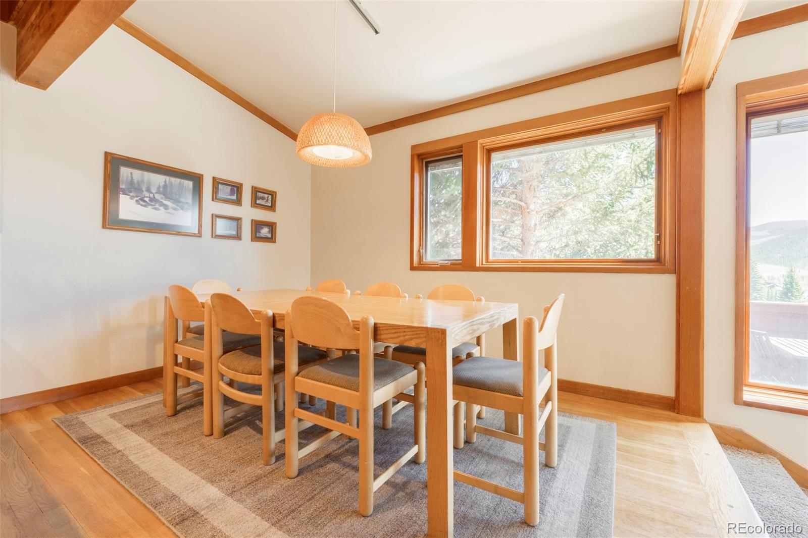 MLS Image #12 for 350  tennis club road,dillon, Colorado