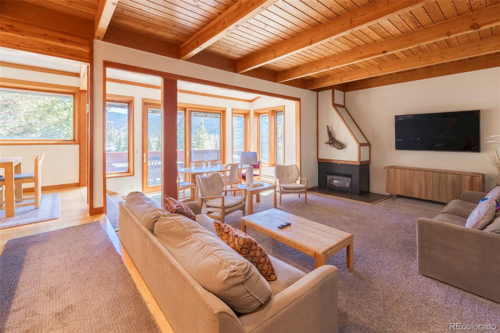 MLS Image #15 for 350  tennis club road,dillon, Colorado