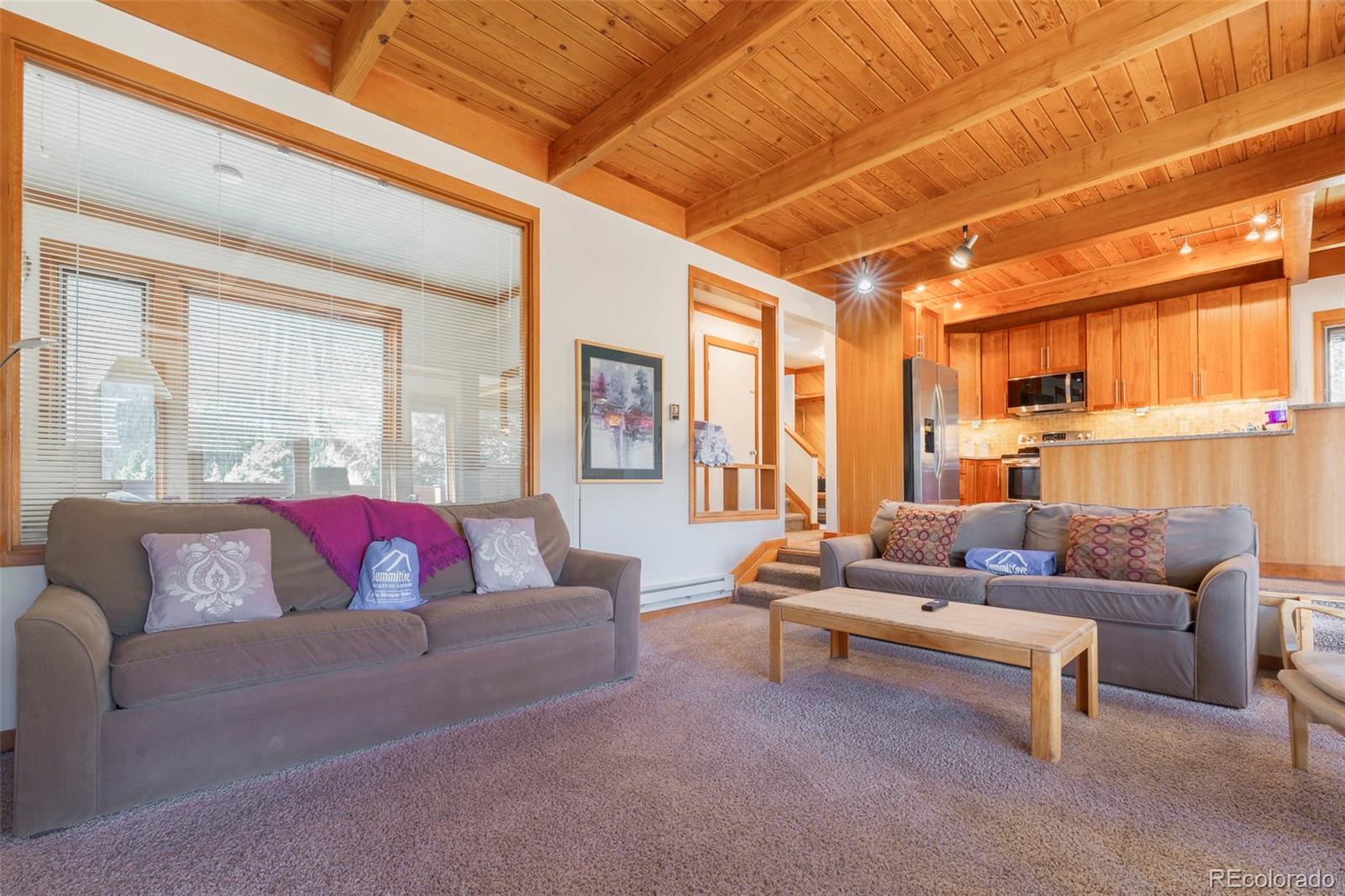 MLS Image #17 for 350  tennis club road,dillon, Colorado