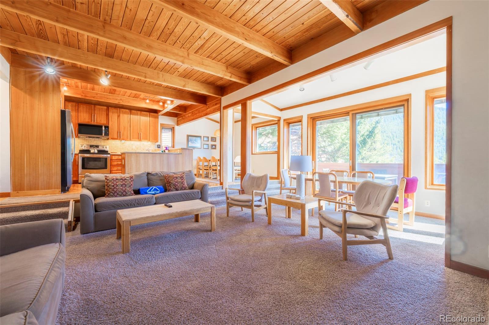 MLS Image #18 for 350  tennis club road,dillon, Colorado