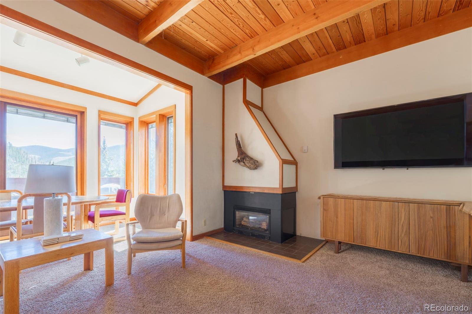 MLS Image #19 for 350  tennis club road,dillon, Colorado