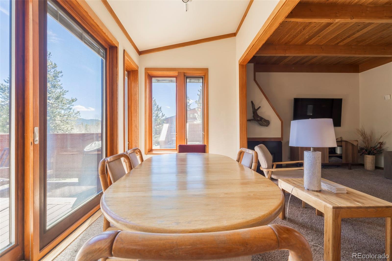 MLS Image #20 for 350  tennis club road,dillon, Colorado