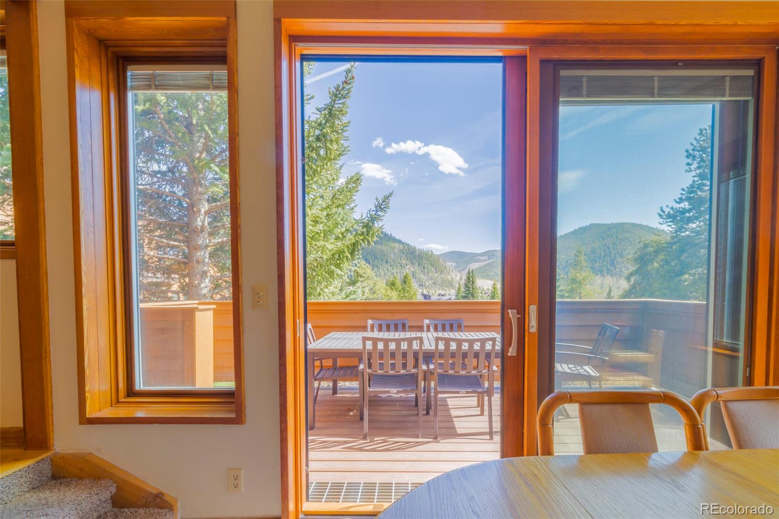 MLS Image #21 for 350  tennis club road,dillon, Colorado