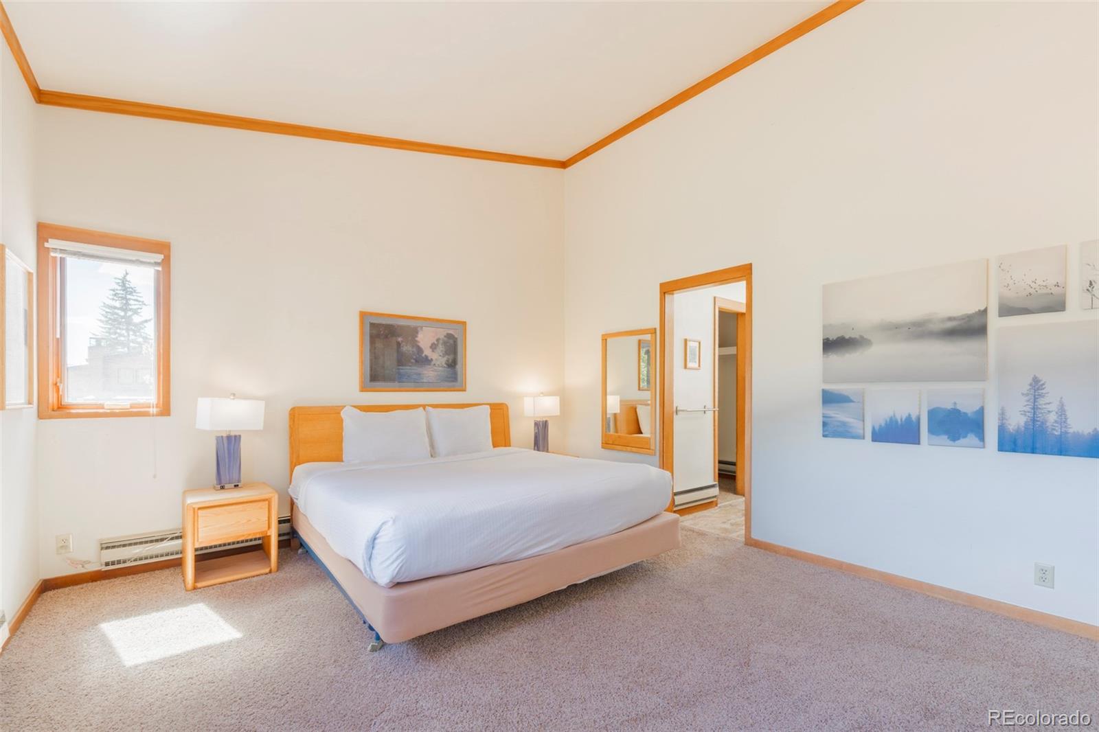 MLS Image #23 for 350  tennis club road,dillon, Colorado