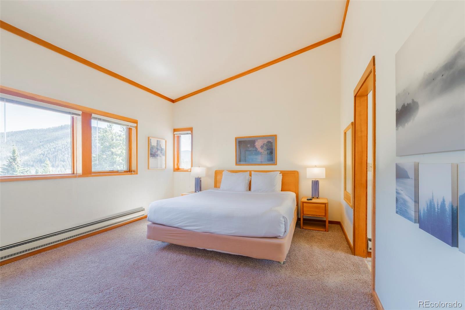 MLS Image #25 for 350  tennis club road,dillon, Colorado