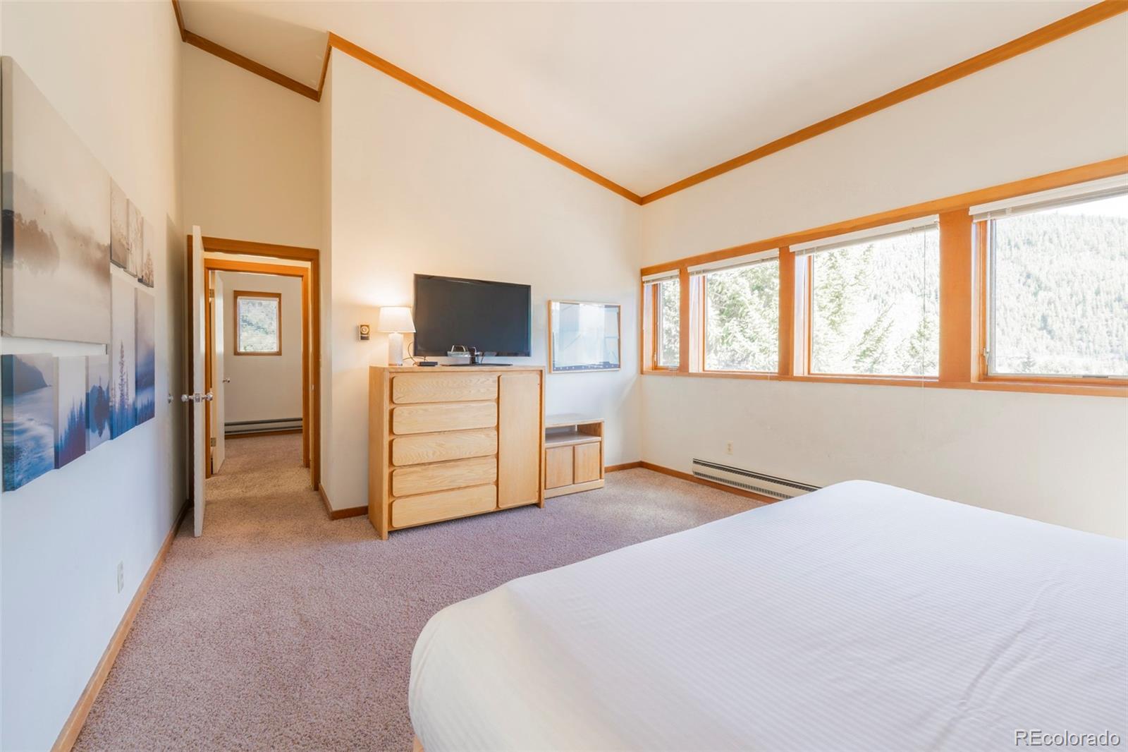 MLS Image #26 for 350  tennis club road,dillon, Colorado