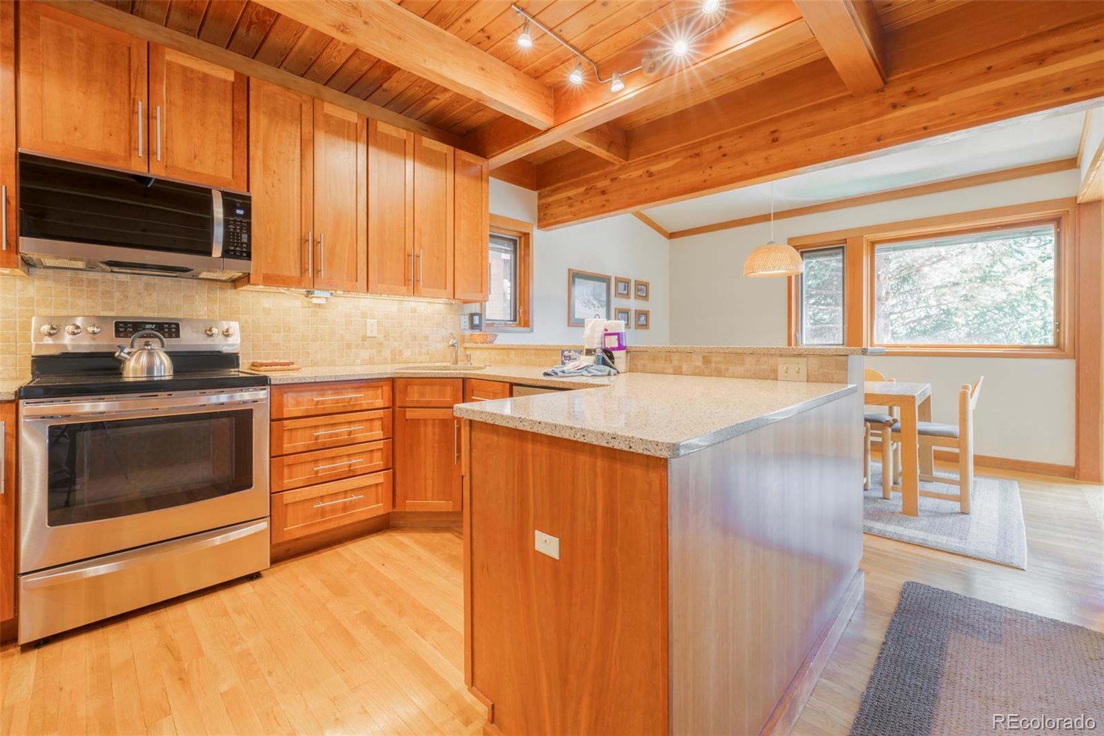 MLS Image #8 for 350  tennis club road,dillon, Colorado