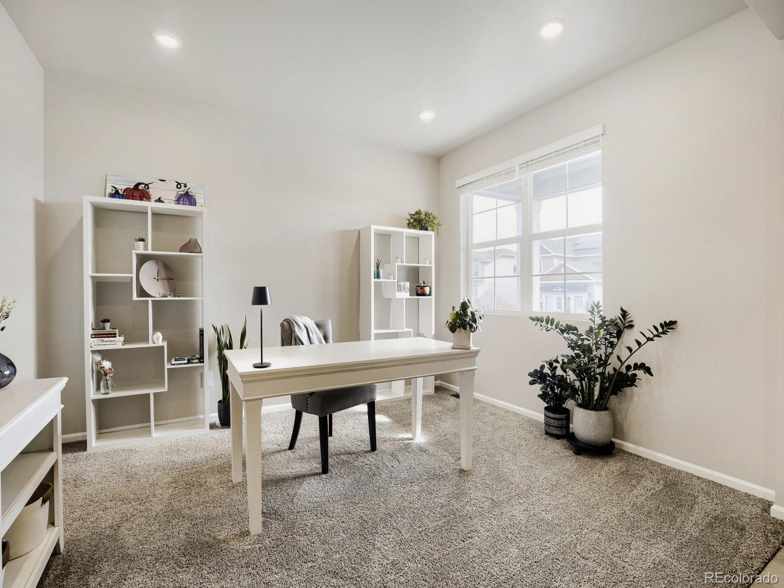 MLS Image #11 for 1642  colorado river drive,windsor, Colorado