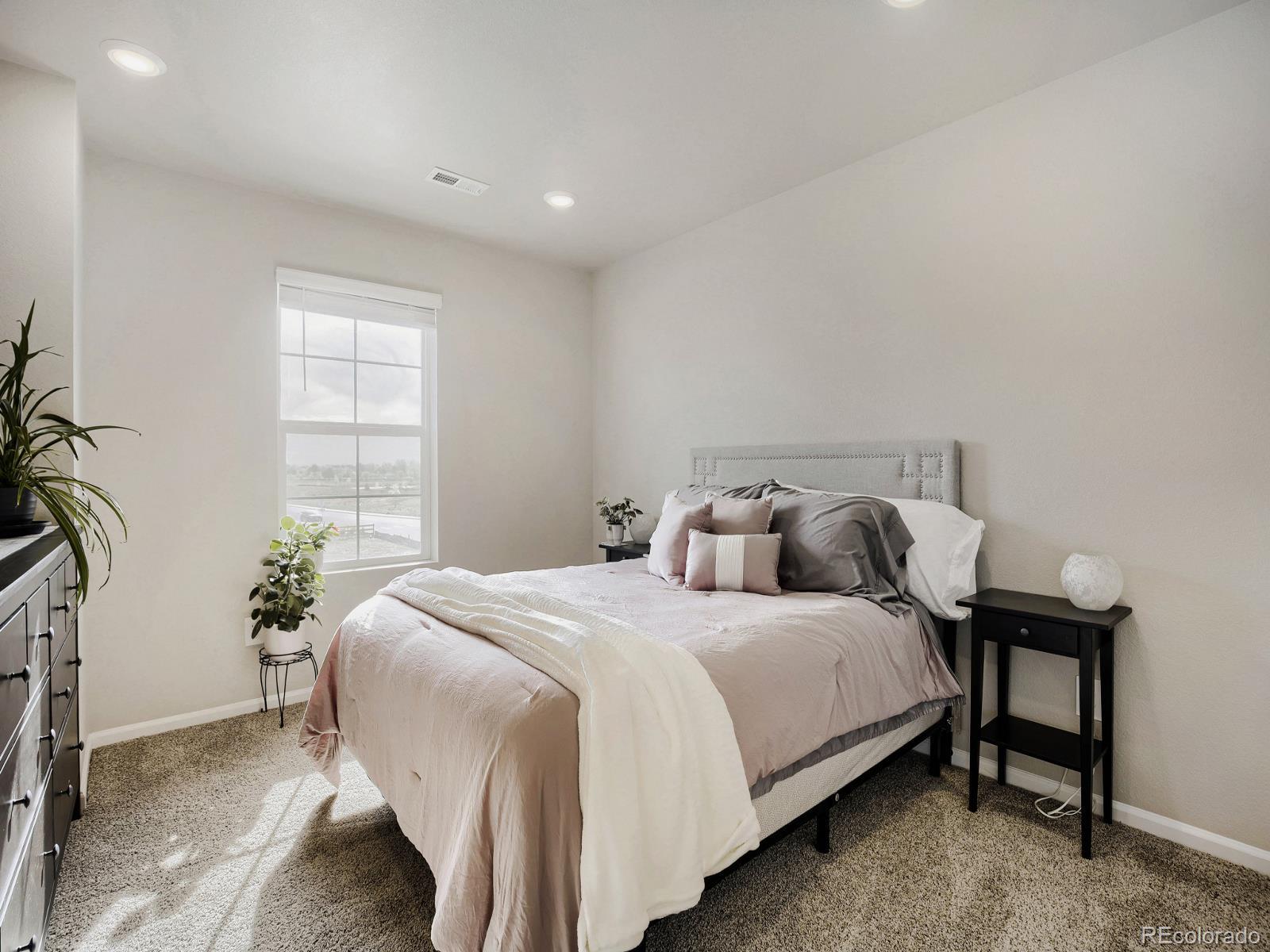 MLS Image #18 for 1642  colorado river drive,windsor, Colorado