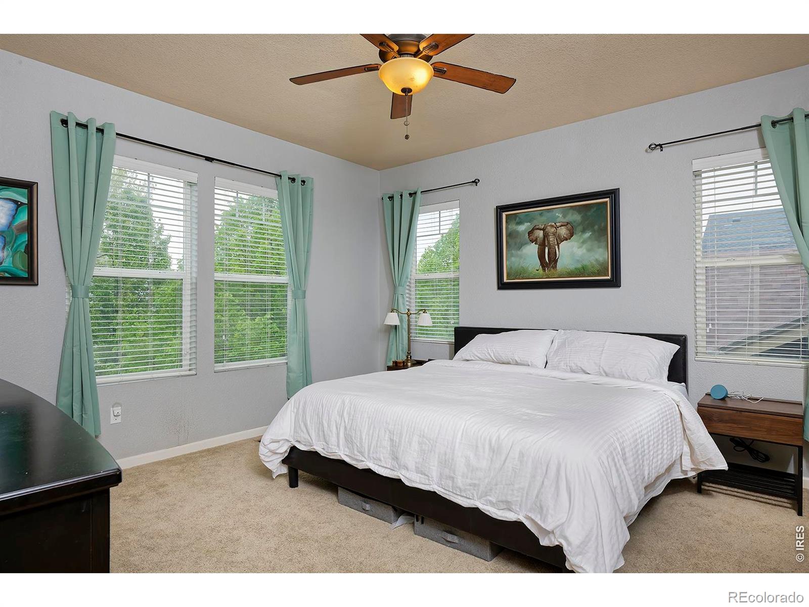 MLS Image #18 for 11825  bradburn boulevard,westminster, Colorado