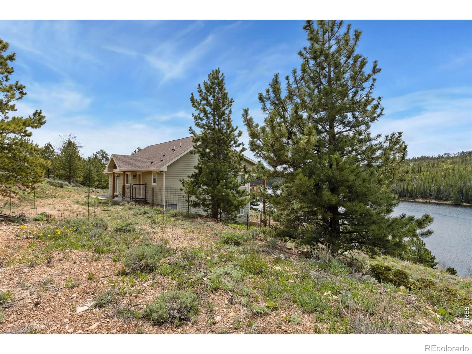 MLS Image #11 for 246  nowata drive,red feather lakes, Colorado