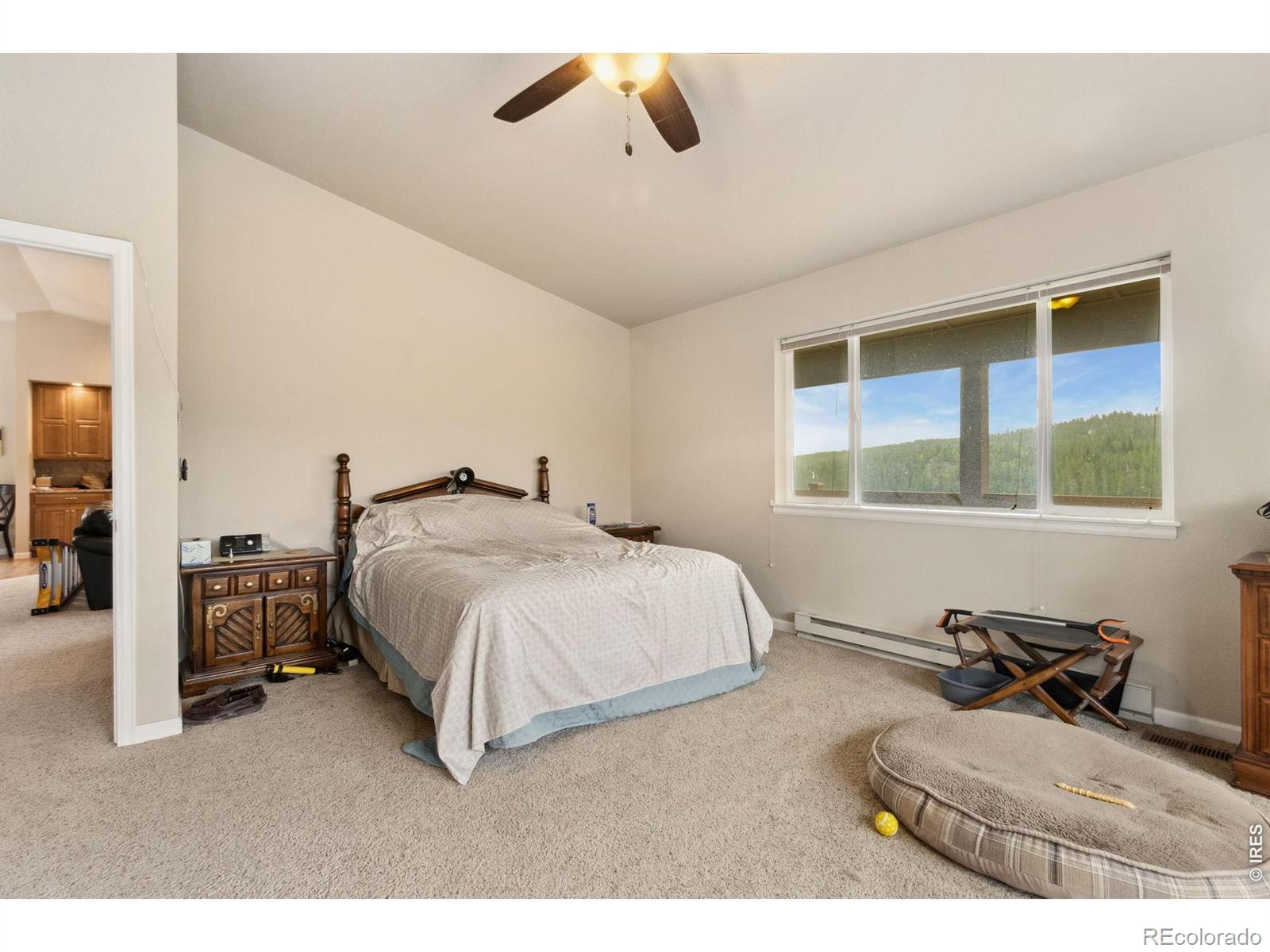 MLS Image #18 for 246  nowata drive,red feather lakes, Colorado