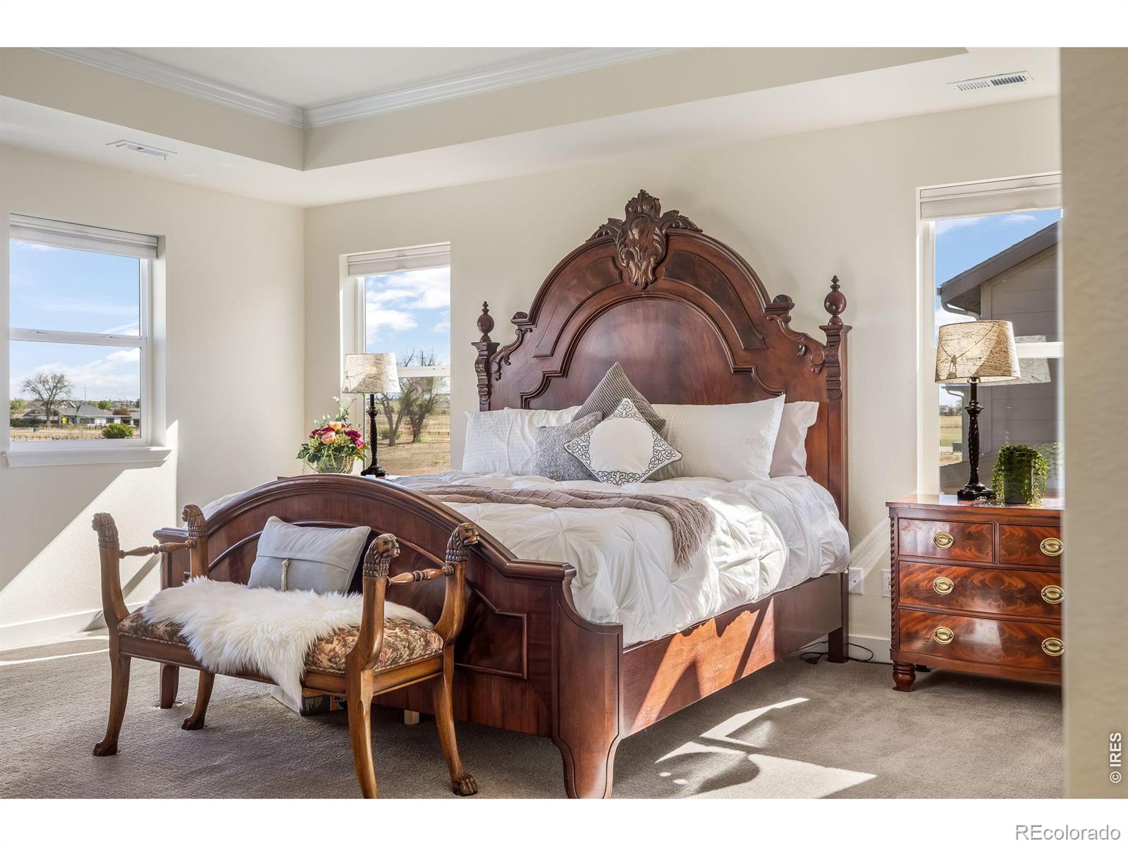 MLS Image #25 for 7114  thunderview drive,timnath, Colorado