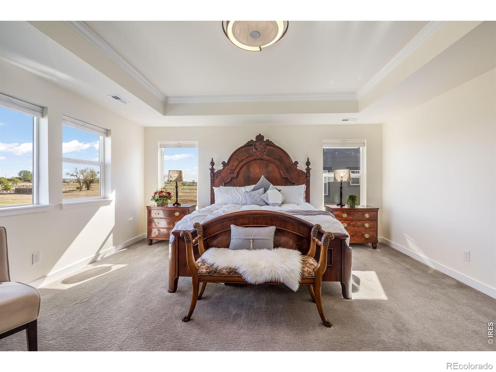 MLS Image #27 for 7114  thunderview drive,timnath, Colorado