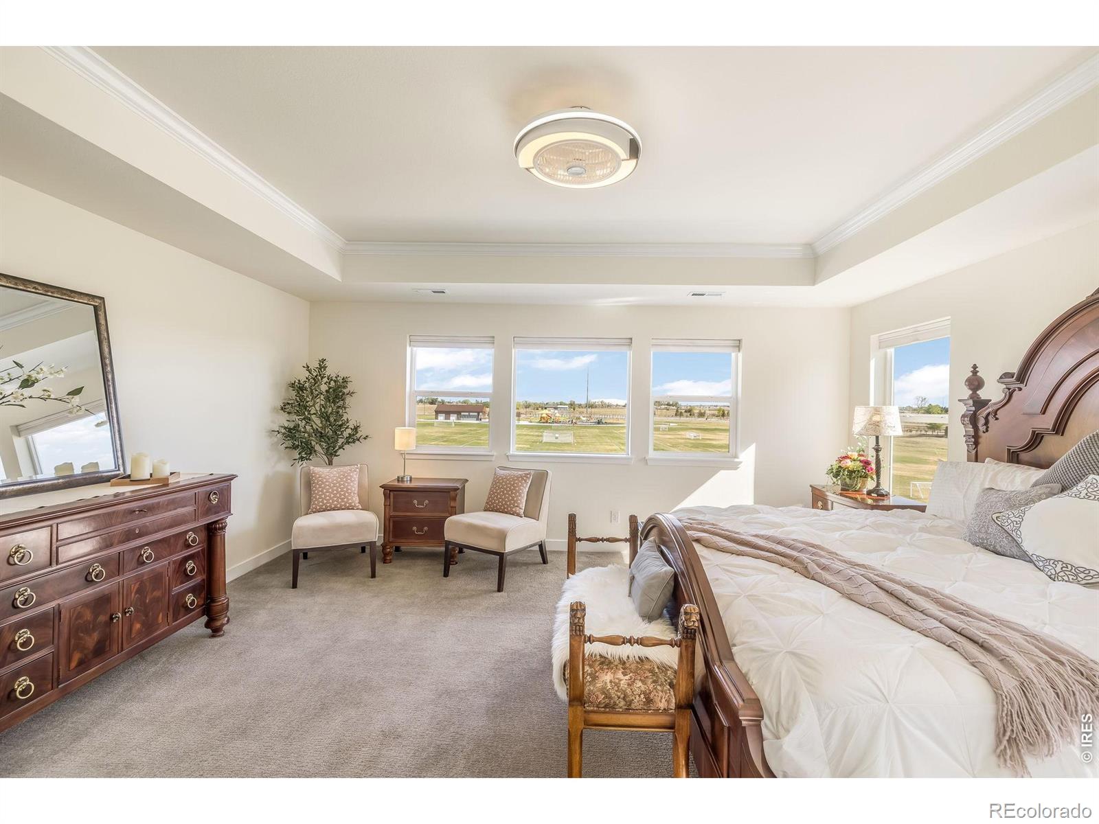 MLS Image #28 for 7114  thunderview drive,timnath, Colorado