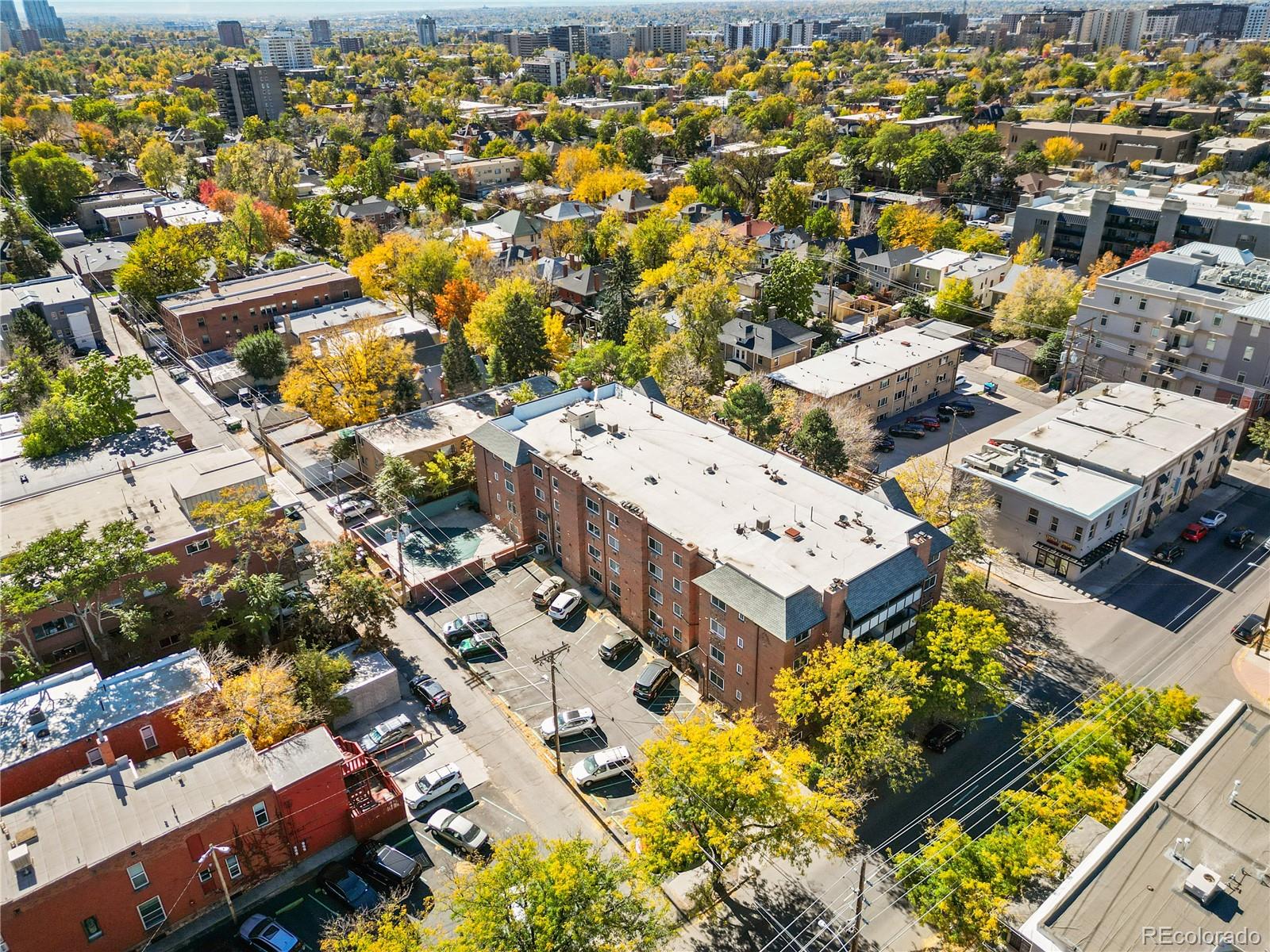 MLS Image #18 for 1270 n marion street,denver, Colorado