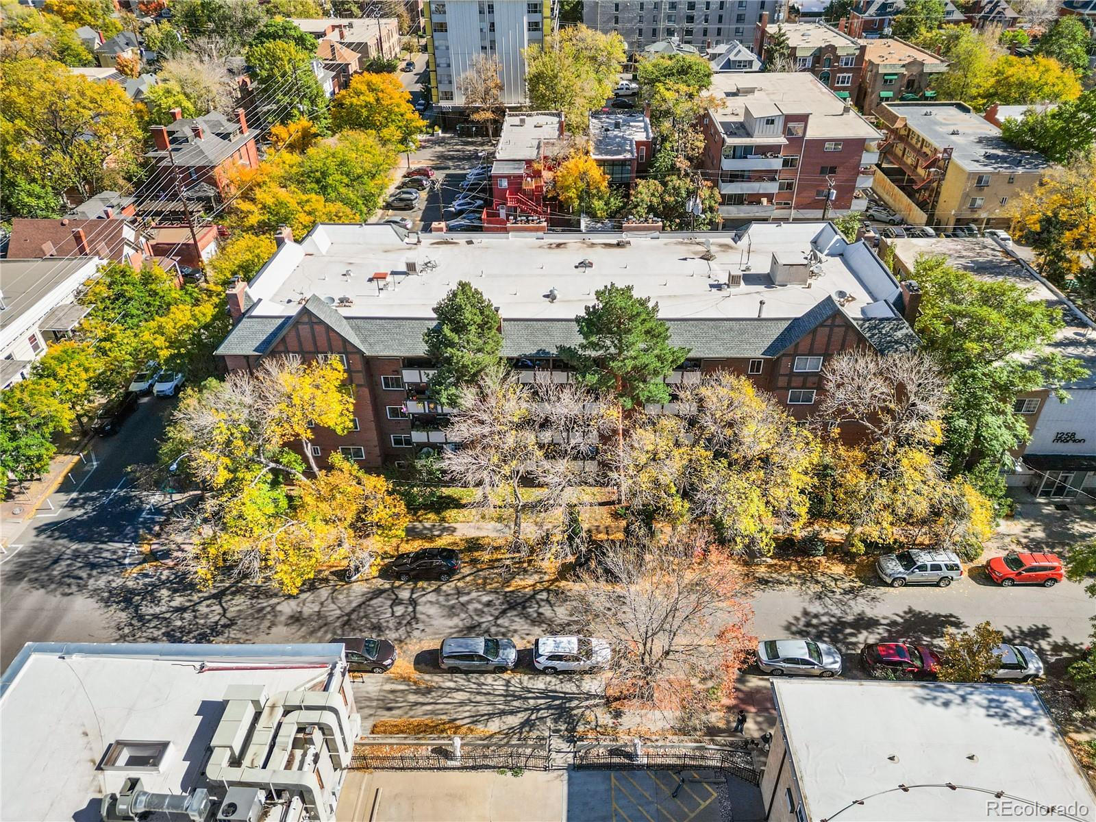 MLS Image #19 for 1270 n marion street,denver, Colorado