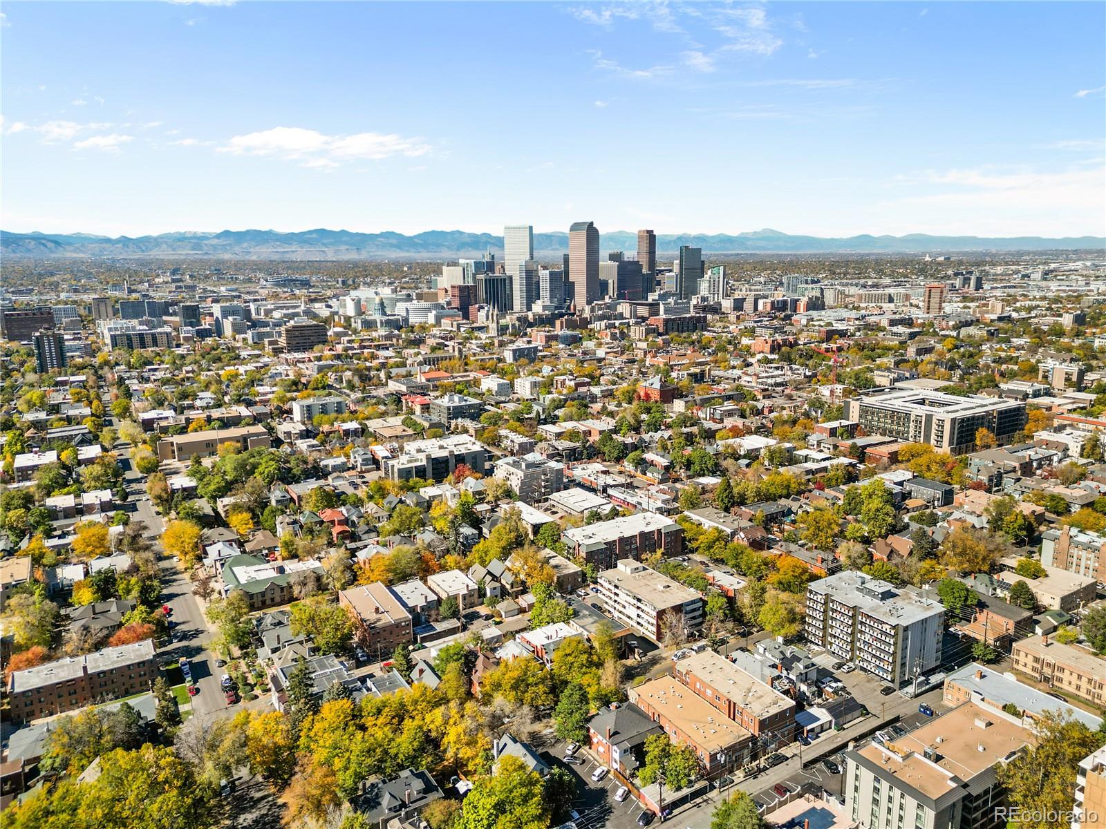 MLS Image #20 for 1270 n marion street,denver, Colorado